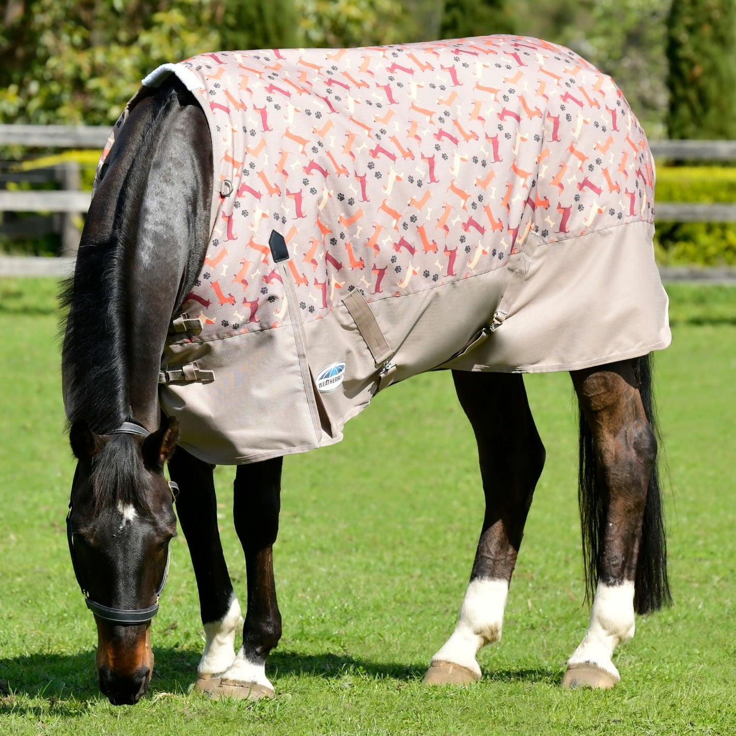 Weatherbeeta ComFiTec Essential Standard Lite Plus Dachshund Print