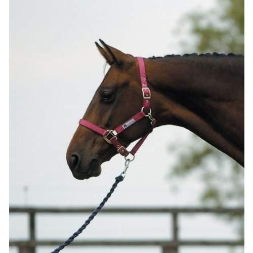 Roma Continental Headcollar Heather