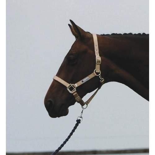 Roma Continental Headcollar Taupe