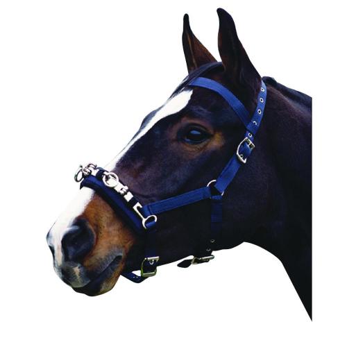 Kincade Coordinate Lunge Cavesson Navy
