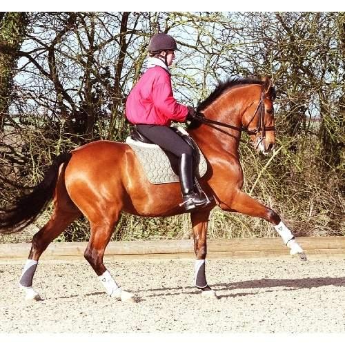 Tri-zone Brushing Boot Platinum