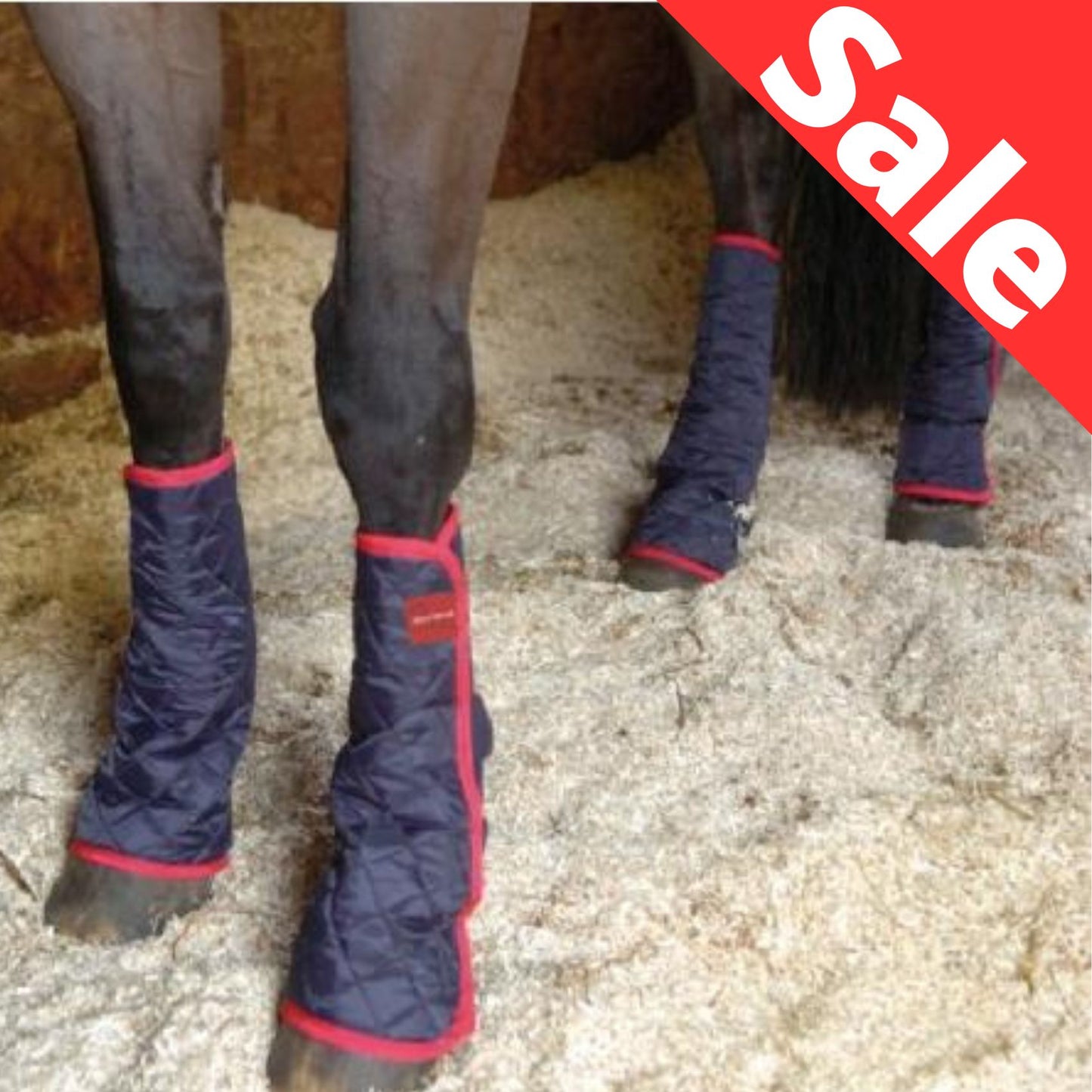Equilibrium Therapy Magnetic Chaps