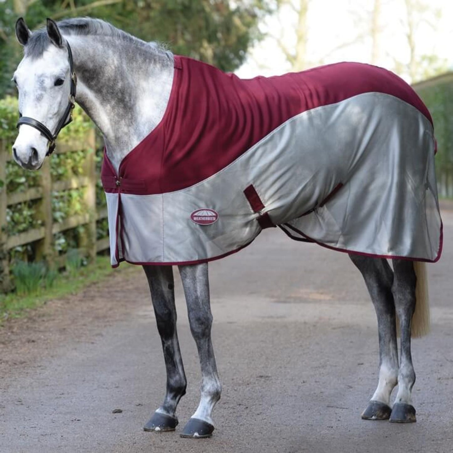 Weatherbeeta Micro-Air Cooler Standard Burgundy/Grey