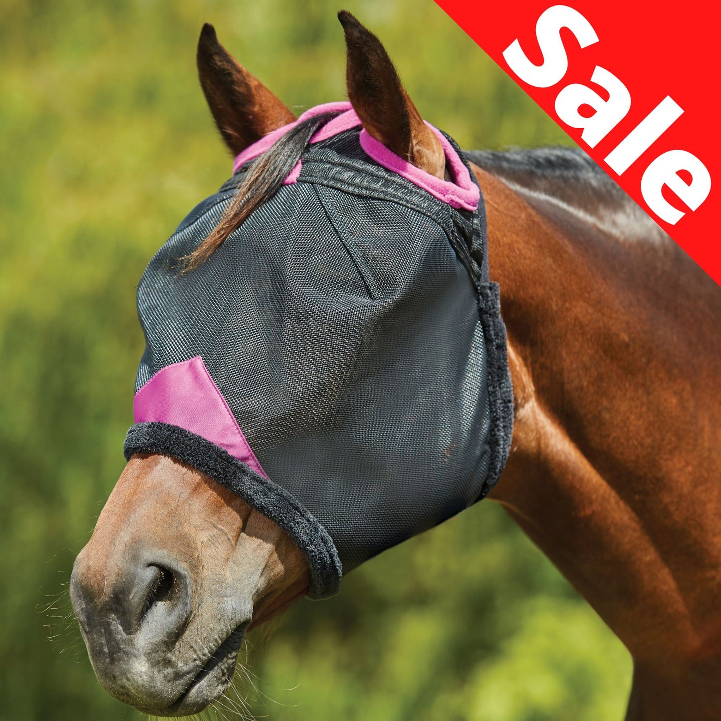 Weatherbeeta ComFiTec Deluxe Durable Mesh Mask Black/Purple