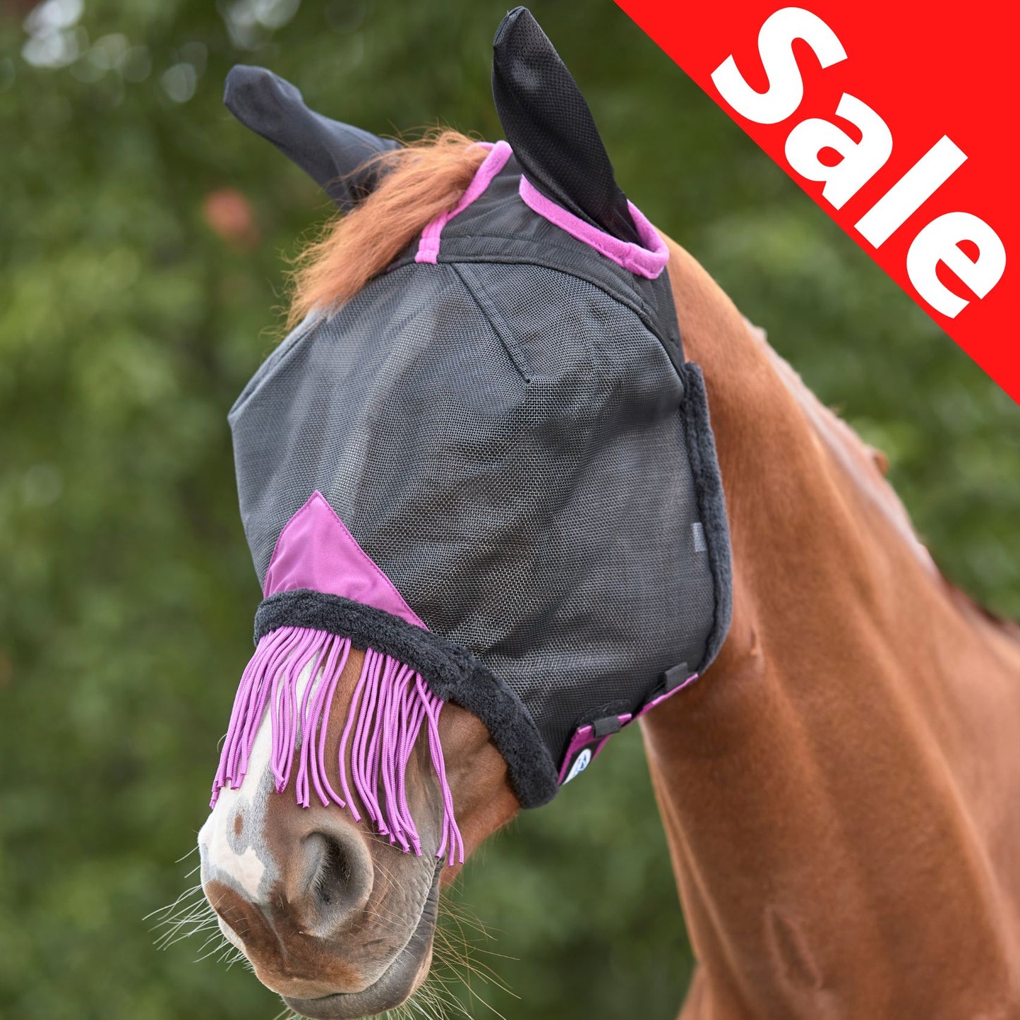 Weatherbeeta ComFiTec Deluxe Durable Mesh Mask with Ears & Tassels Black/Purple