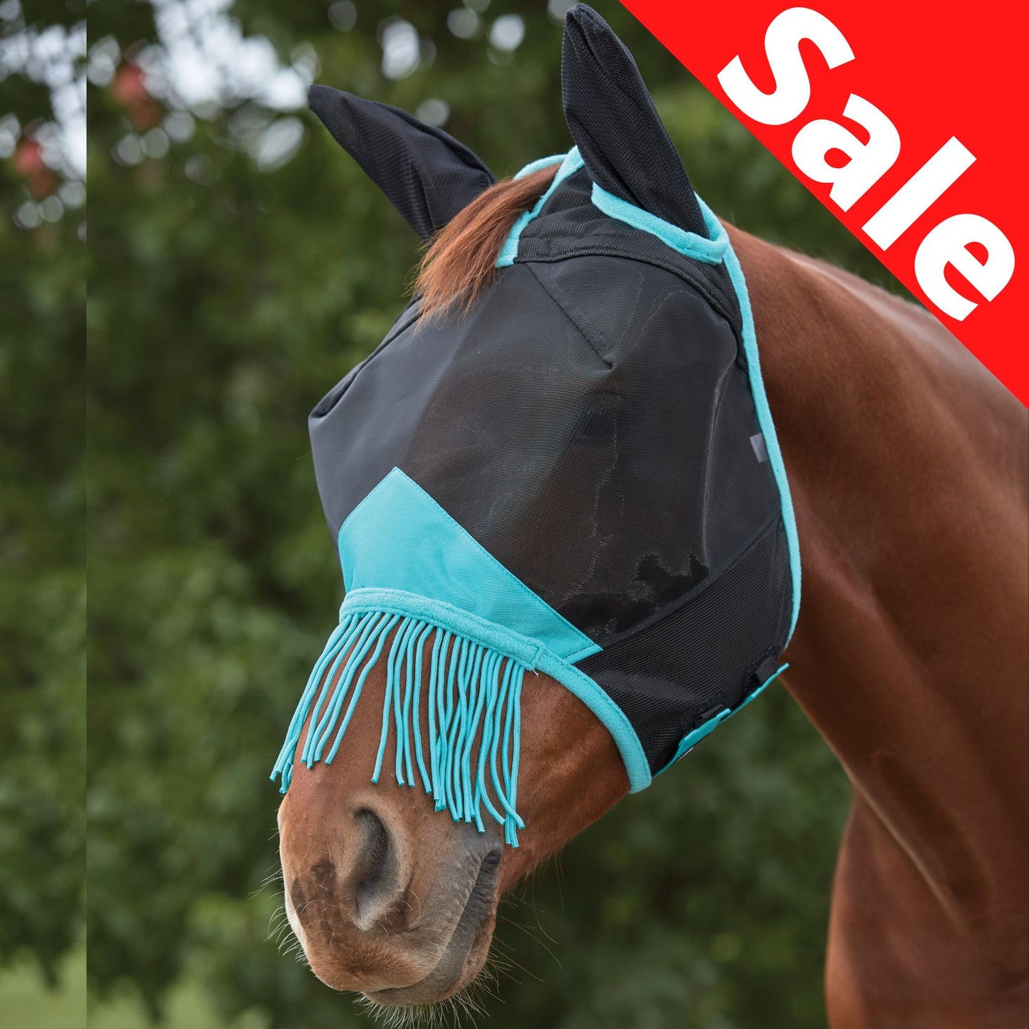 Weatherbeeta ComFiTec Deluxe Fine Mesh Mask with Ears & Tassels Black/Turquoise