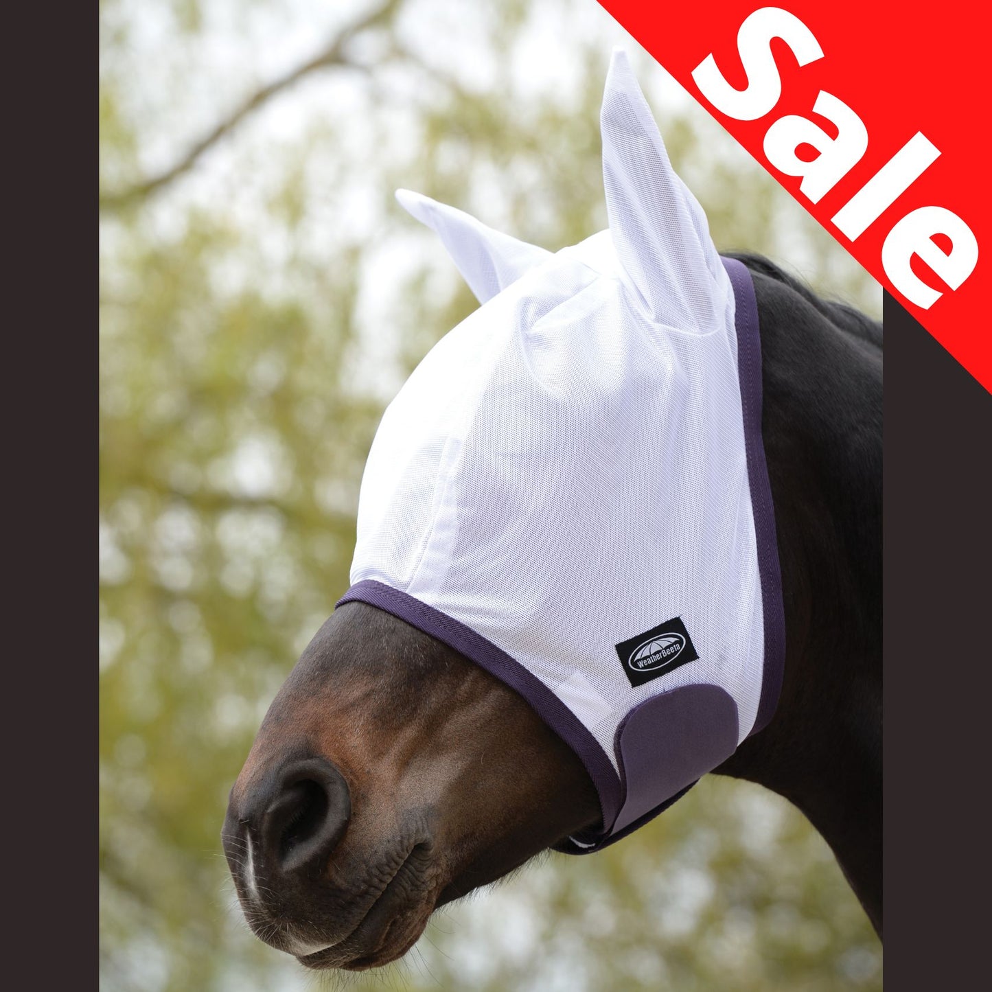 Weatherbeeta ComFiTec Essential Mesh Mask White/Purple/Black