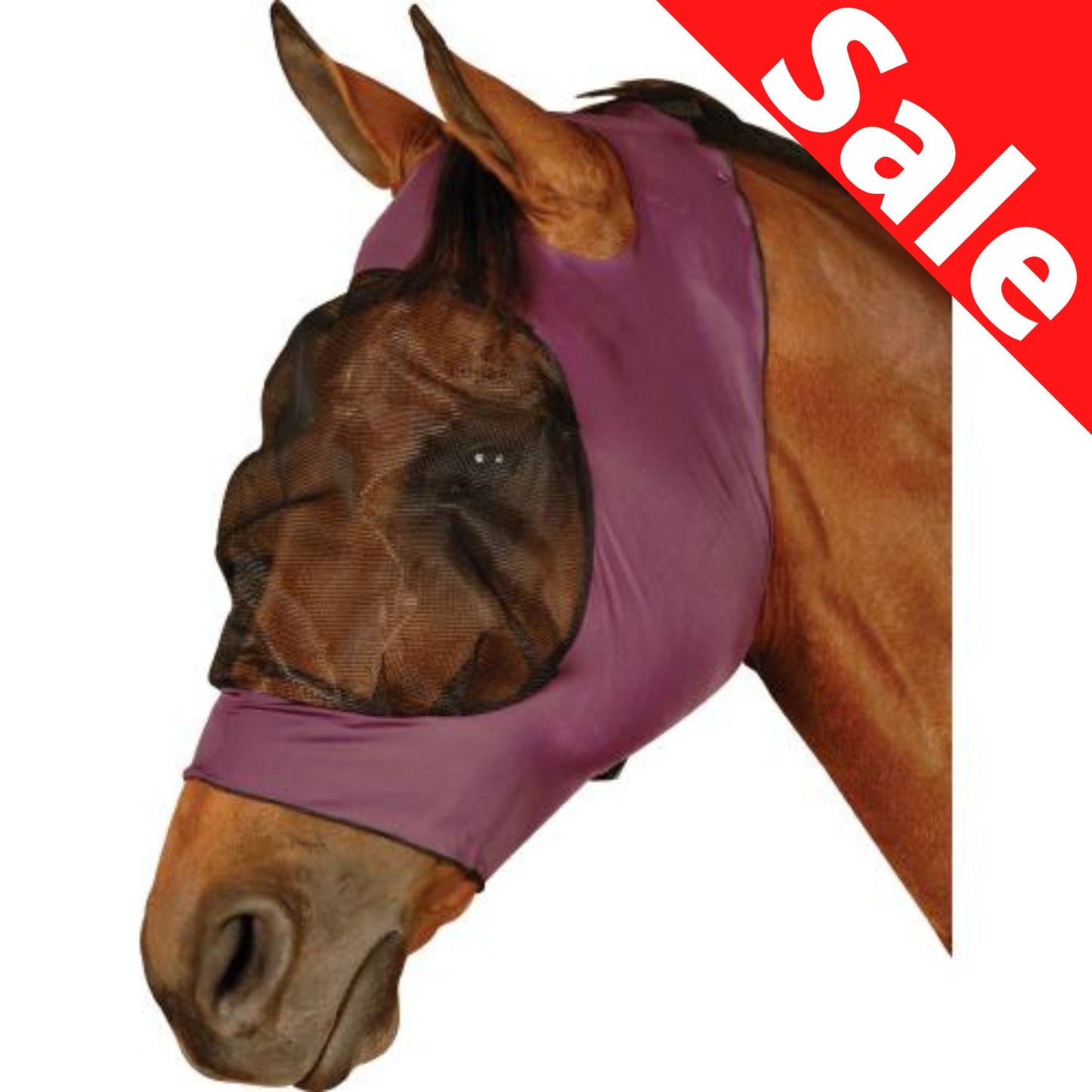 Roma Stretch Eye Saver