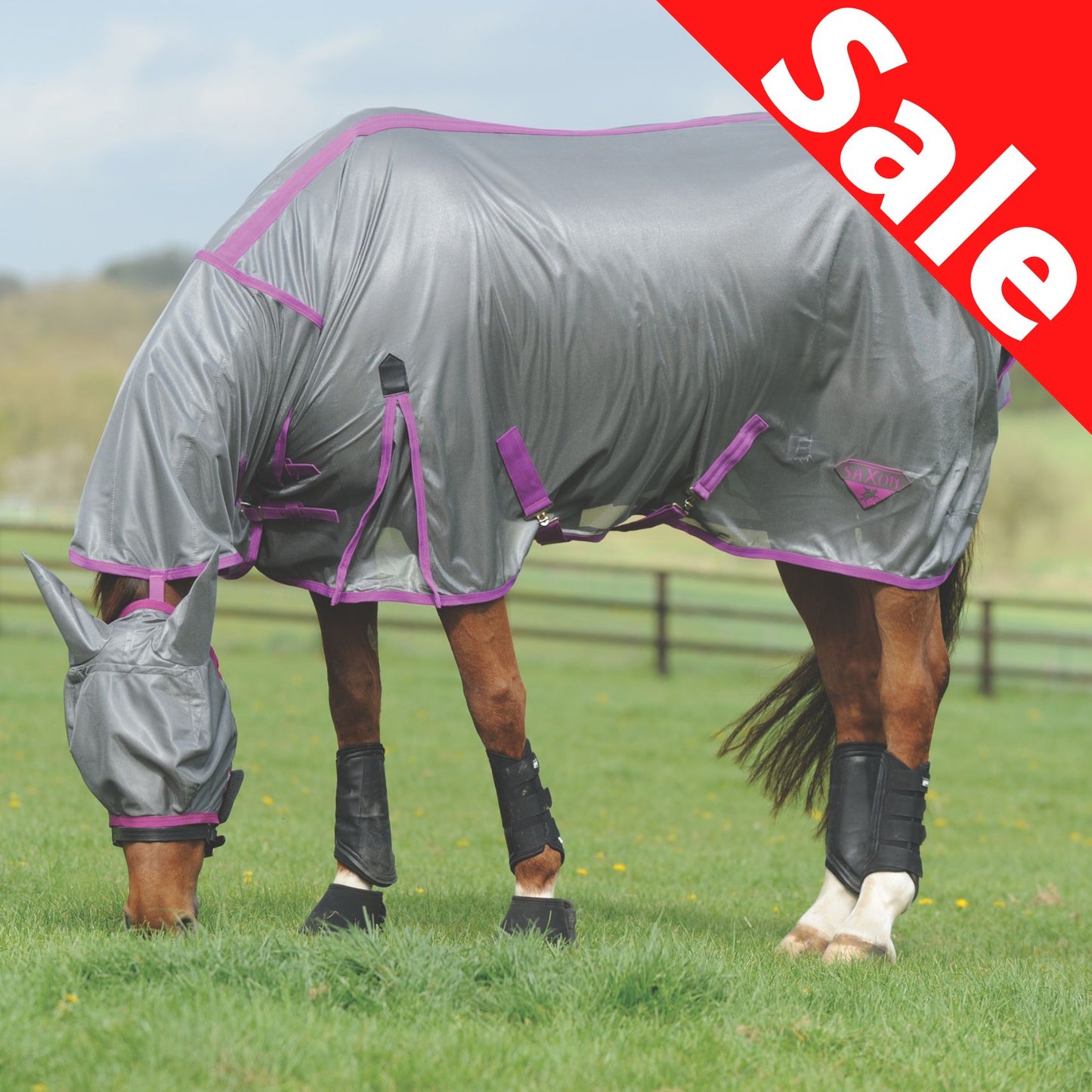 Saxon Fly Mask