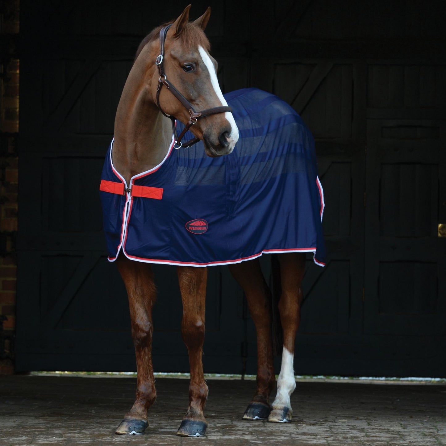 Weatherbeeta Scrim Cooler Navy/Red/White