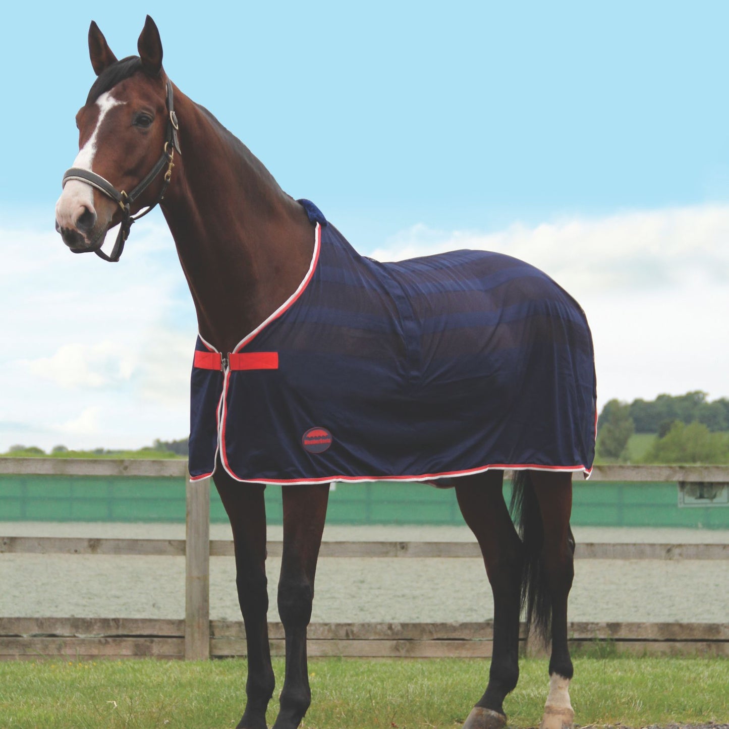 Weatherbeeta Scrim Cooler Navy/Red/White