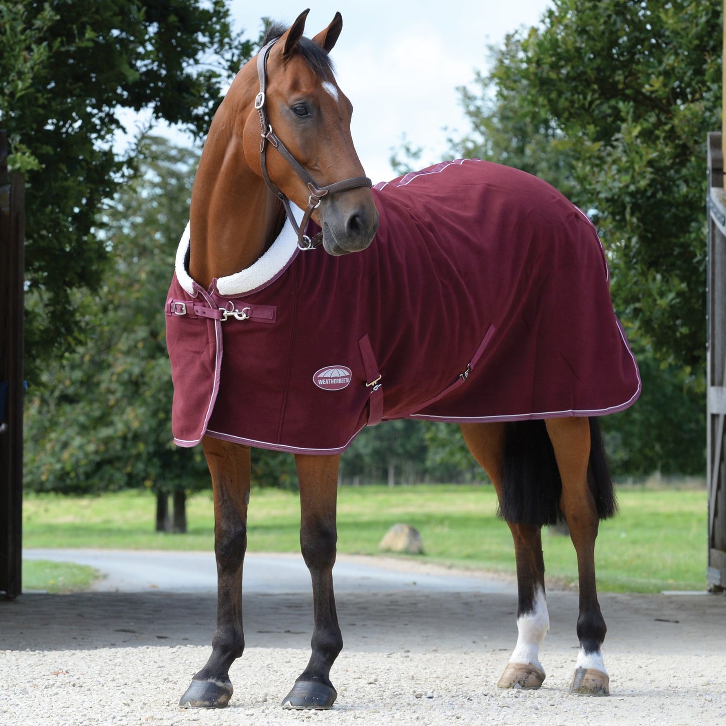 Weatherbeeta Sherpa Fleece Cooler Standard