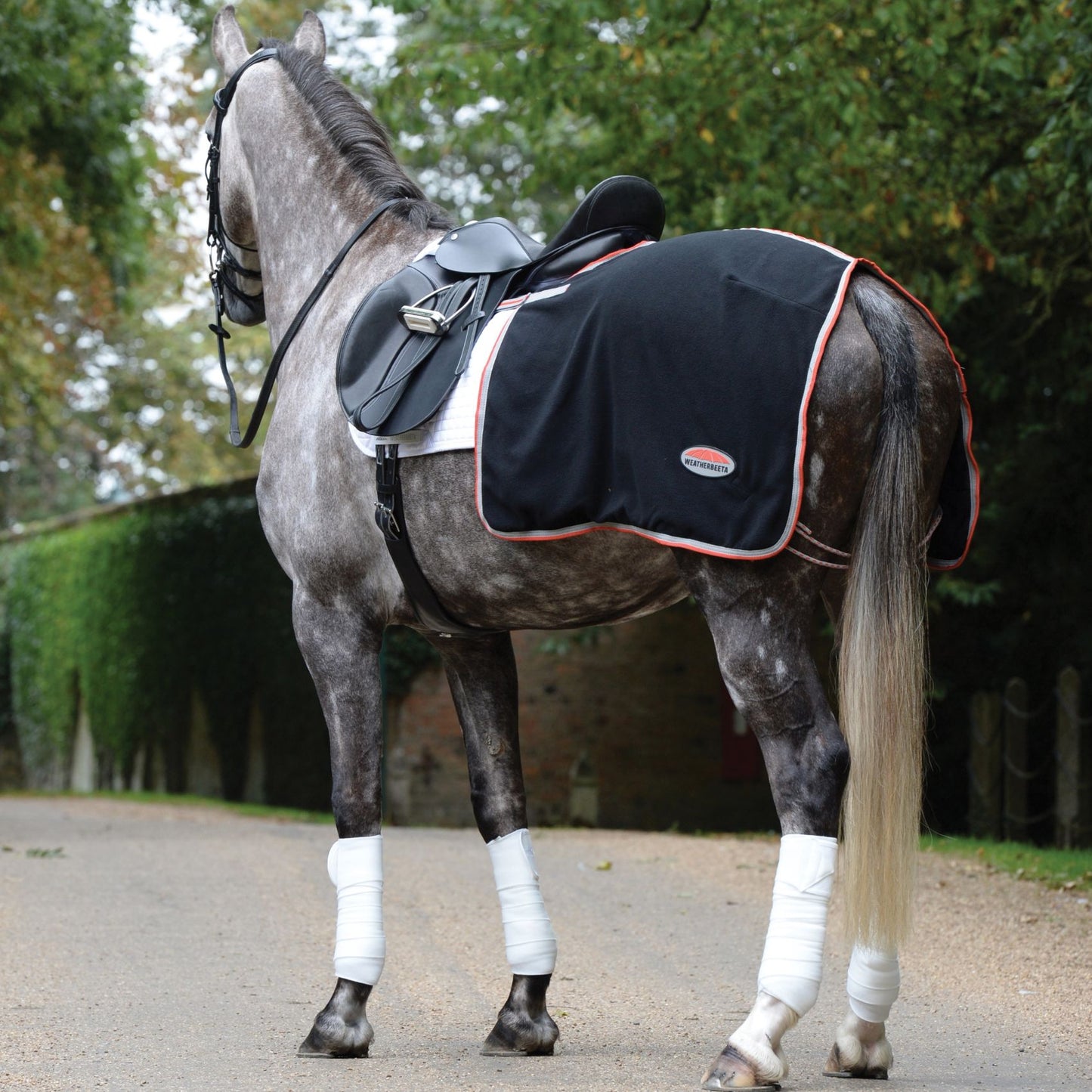 Weatherbeeta Therapy-Tec Quarter Sheet Black/Silver/Red