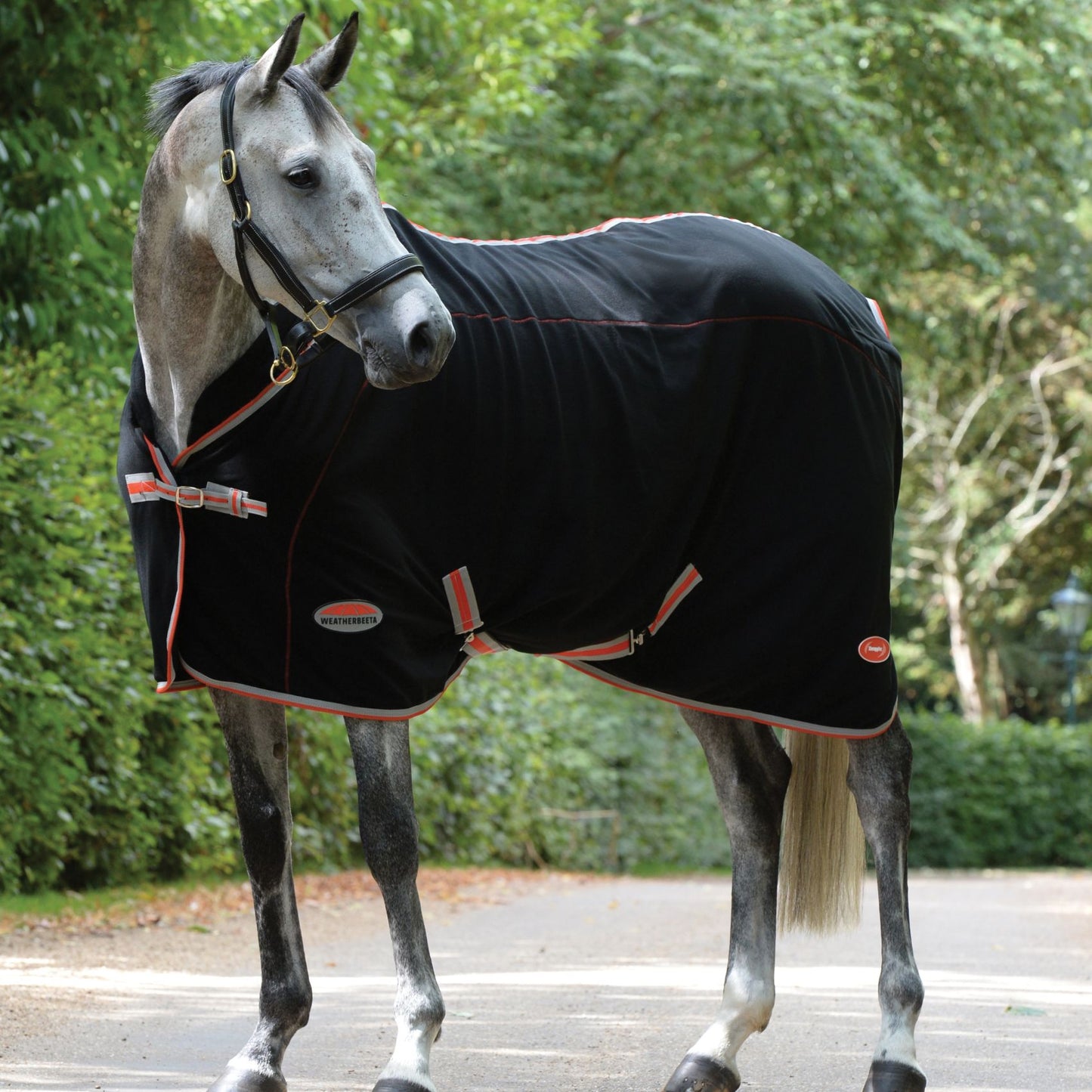 Weatherbeeta Therapy-Tec Fleece Standard Black/Silver/Red