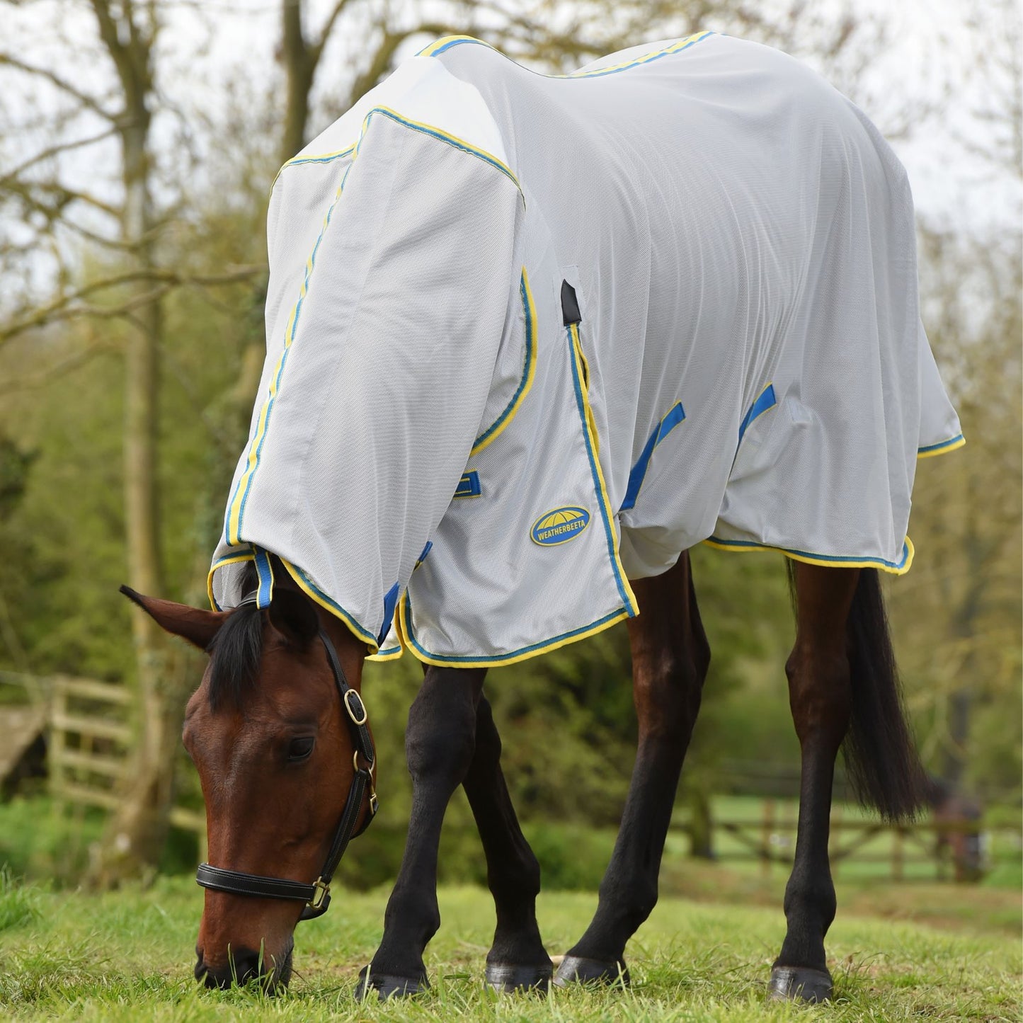 Weatherbeeta ComFiTec Zephyr Plus Mesh Combo Silver/Blue/Lemon