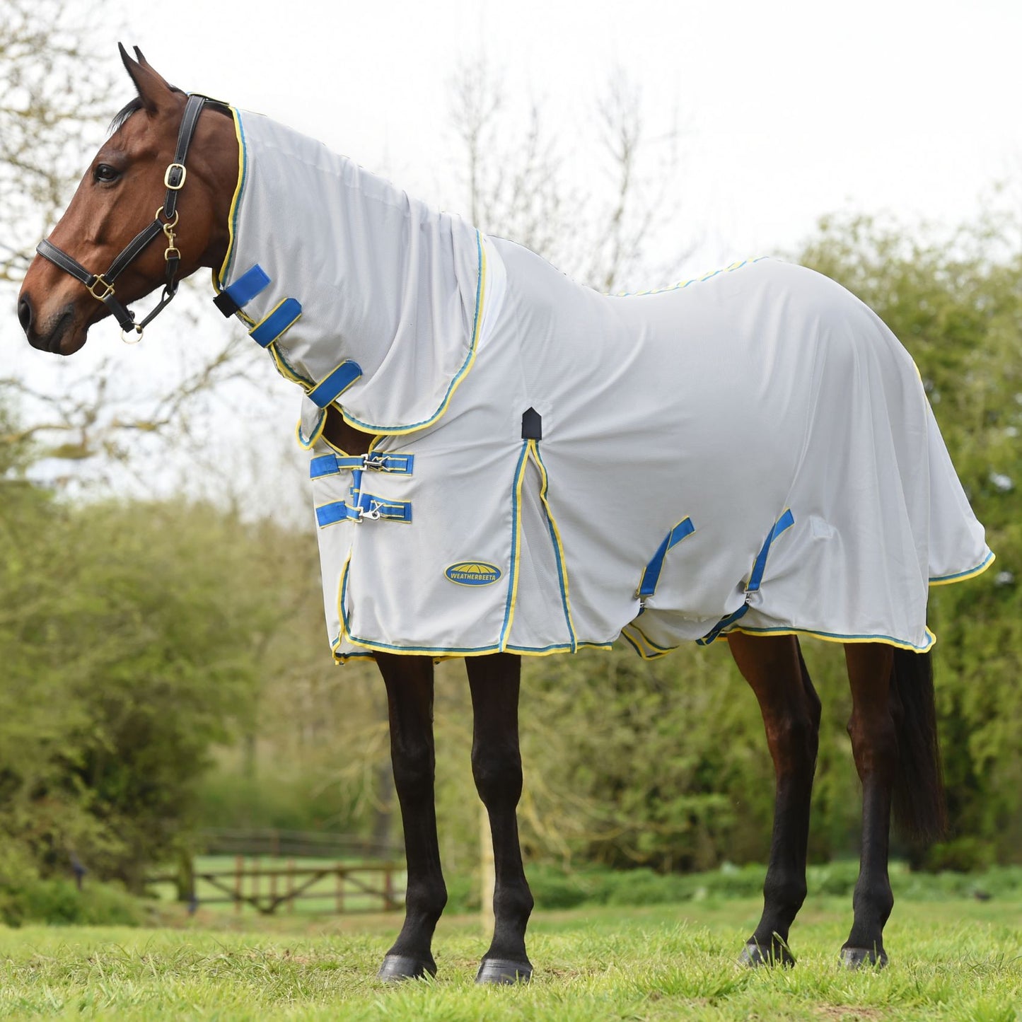 Weatherbeeta ComFiTec Zephyr Plus Mesh Combo Silver/Blue/Lemon