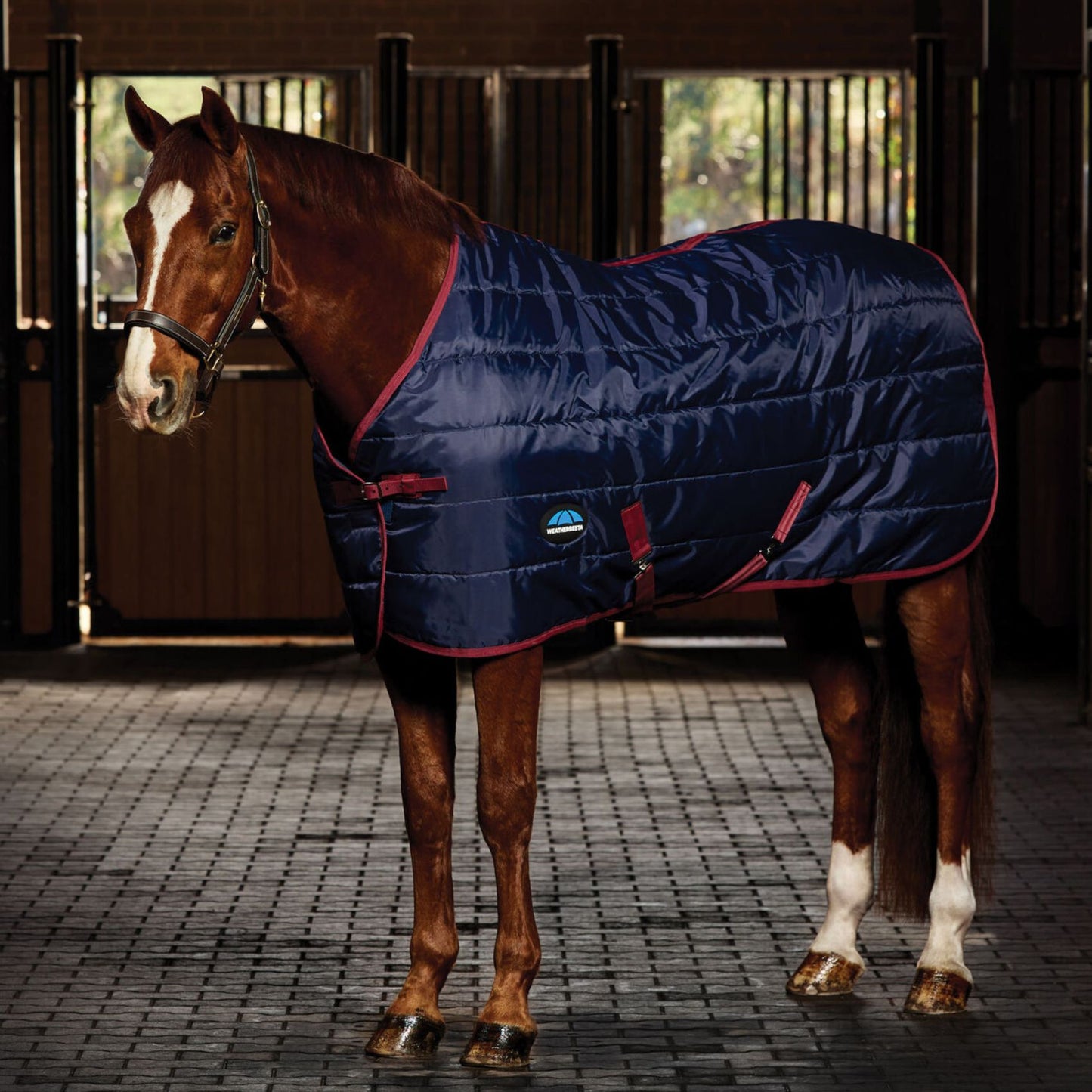 Weatherbeeta ComFiTec 210D Channel Quilt Stable 100g Navy/Burgundy