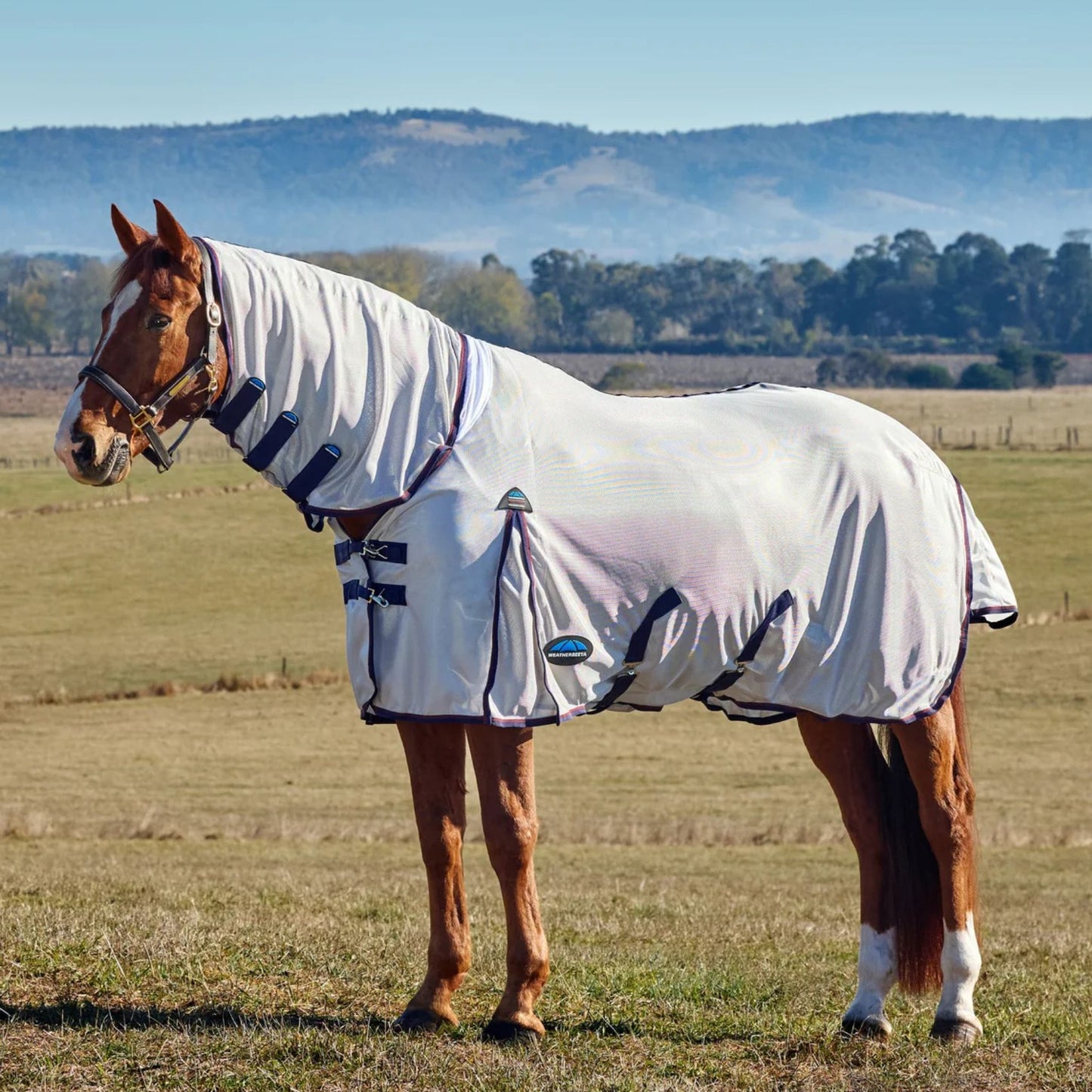 Weatherbeeta ComFiTec Airflow Fly Sheet Combo Grey/Navy/Burgundy