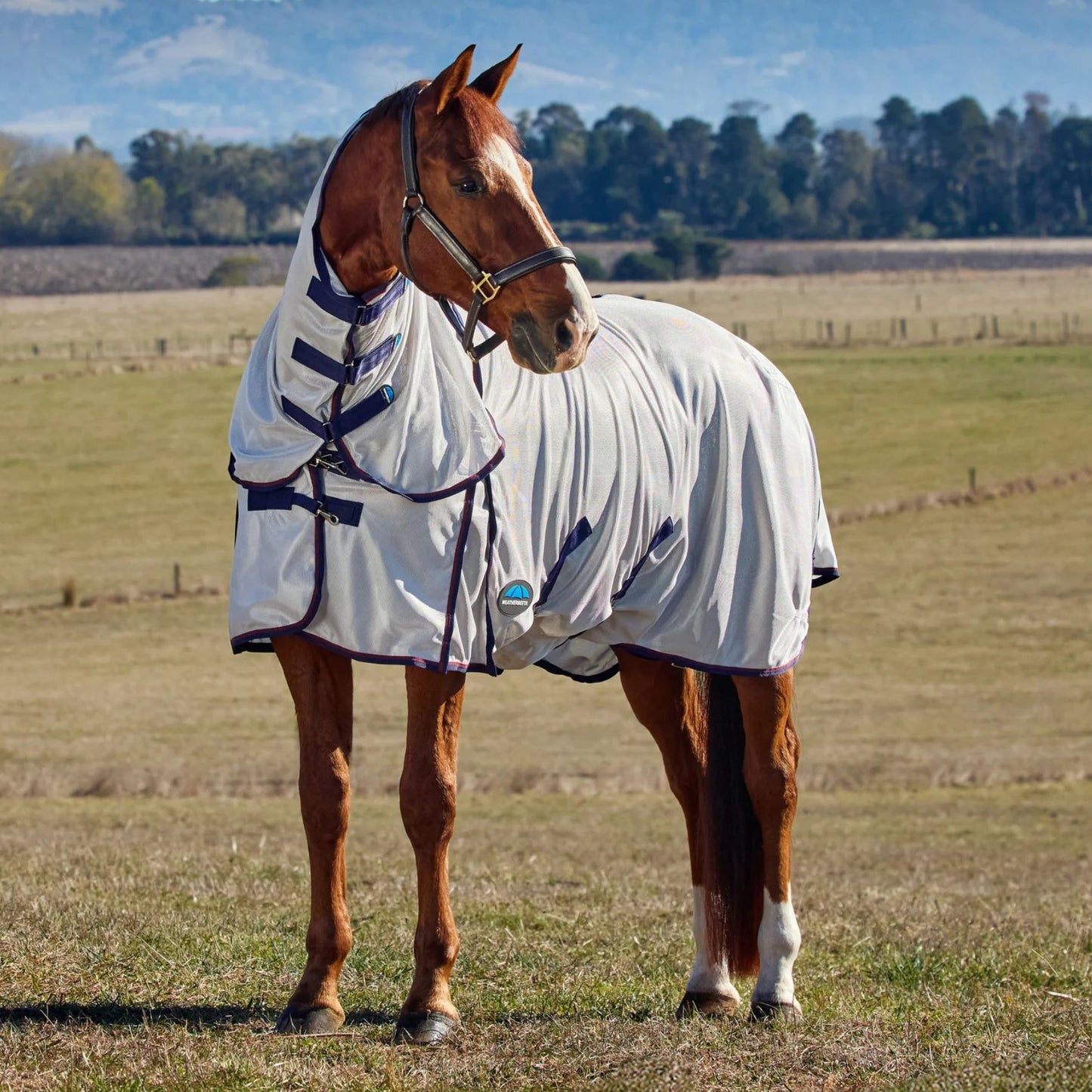 Weatherbeeta ComFiTec Airflow Fly Sheet Combo Grey/Navy/Burgundy