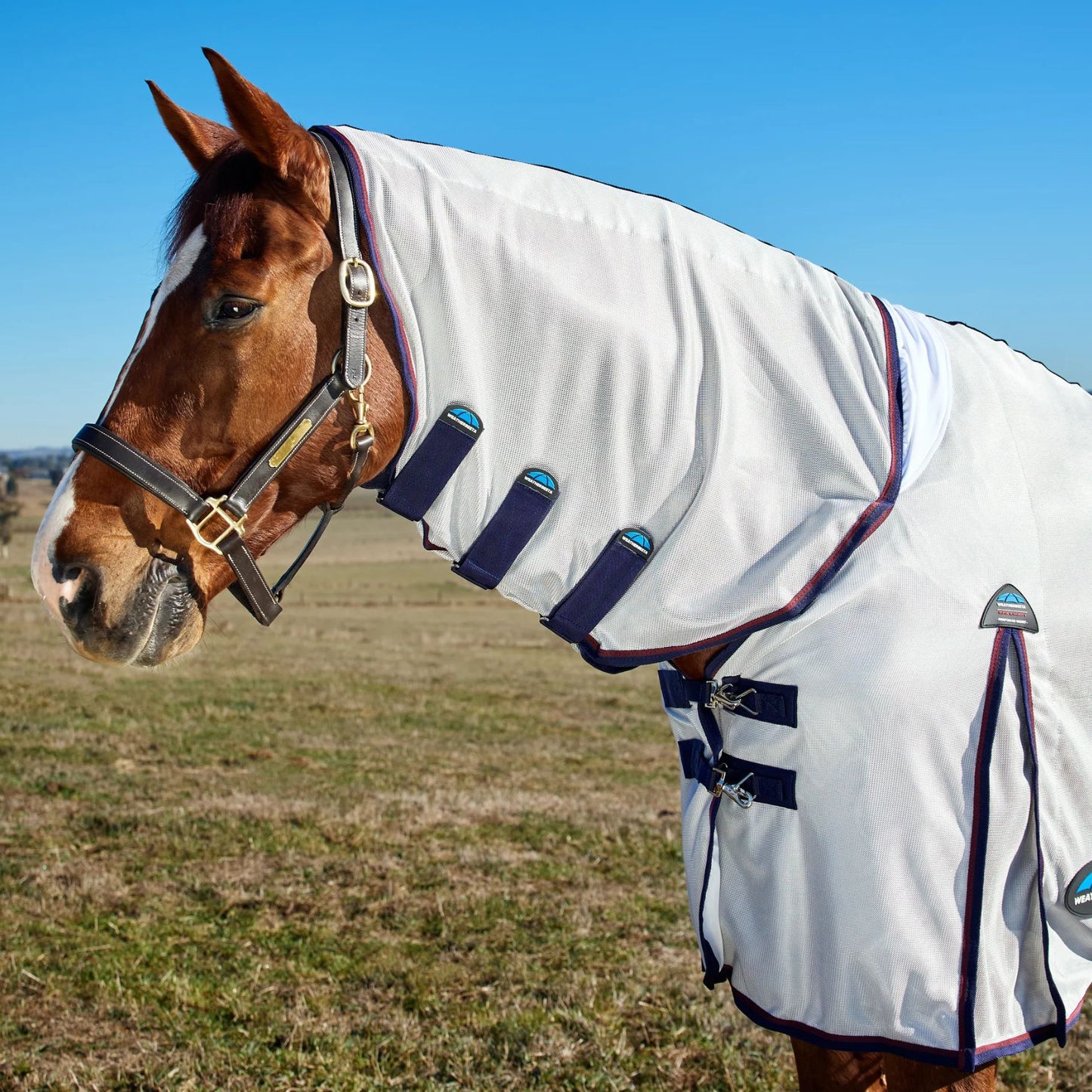 Weatherbeeta ComFiTec Airflow Fly Sheet Combo Grey/Navy/Burgundy