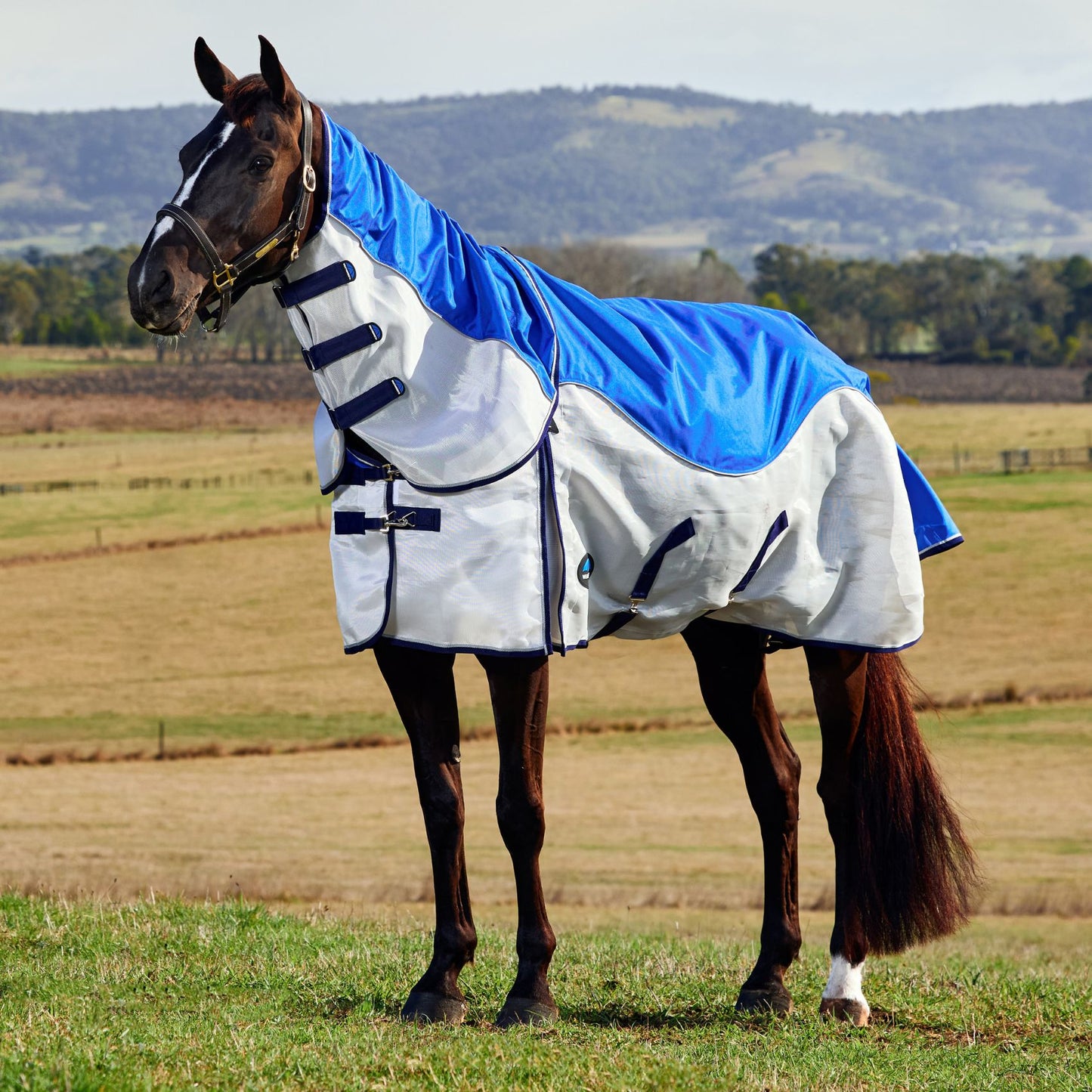 Weatherbeeta ComFiTec Duo Shield Detach-A-Neck Blue/Silver/Navy