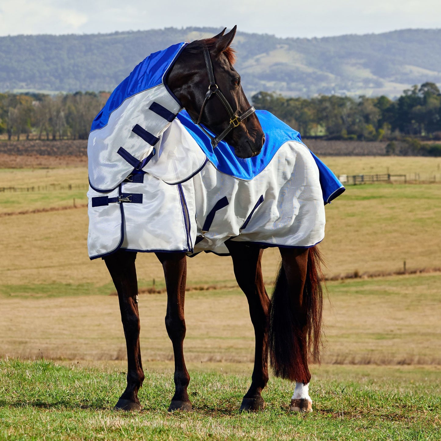 Weatherbeeta ComFiTec Duo Shield Detach-A-Neck Blue/Silver/Navy