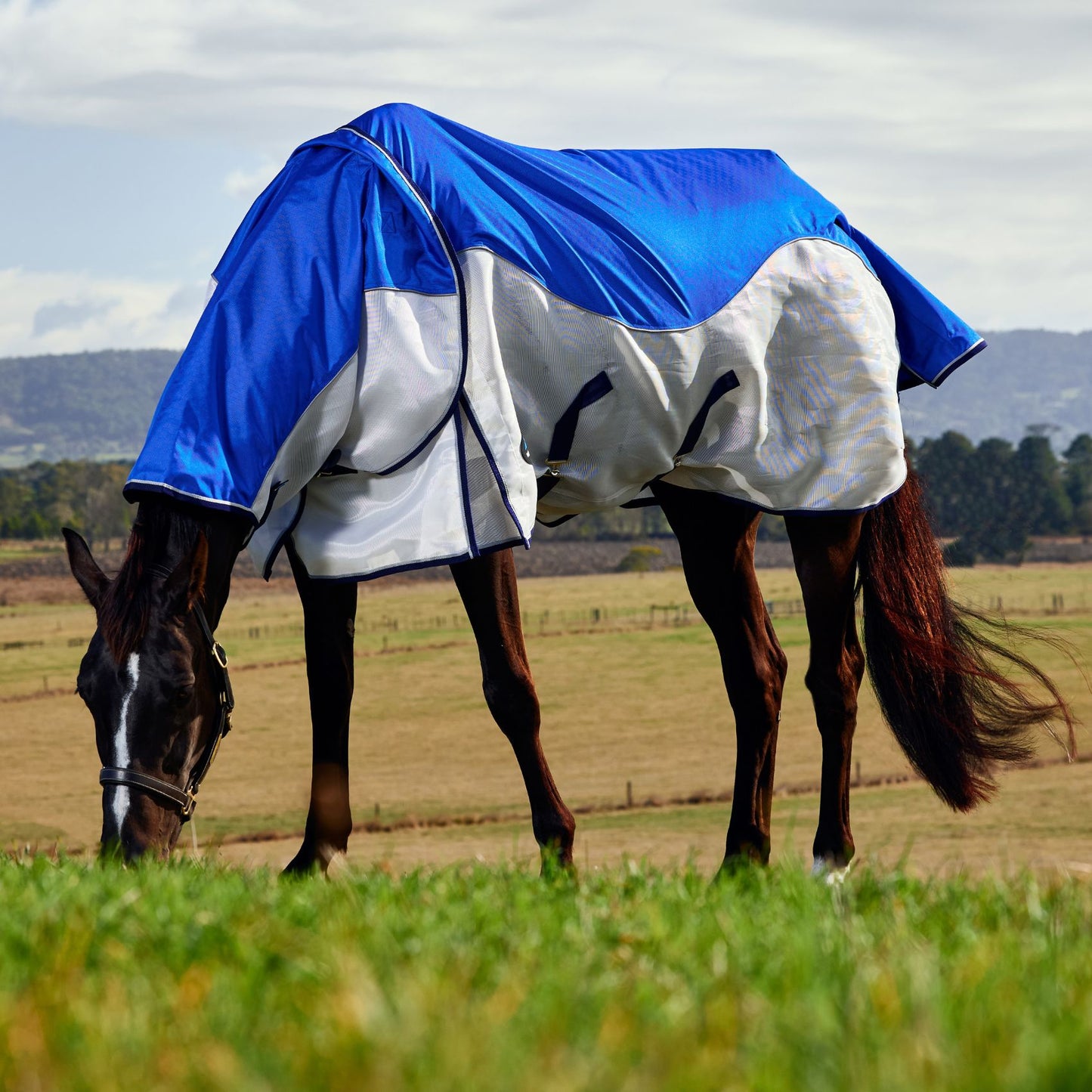 Weatherbeeta ComFiTec Duo Shield Detach-A-Neck Blue/Silver/Navy