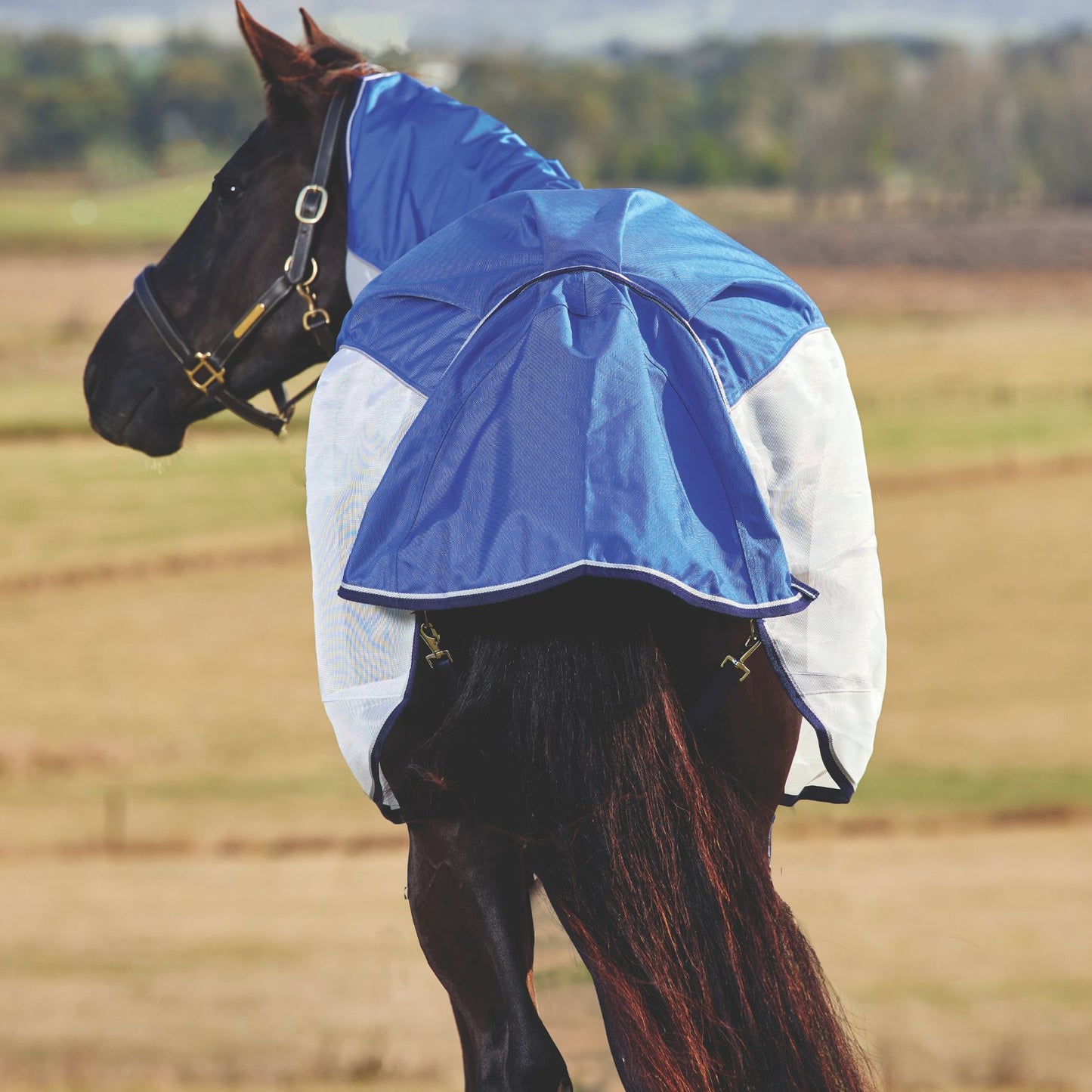 Weatherbeeta ComFiTec Duo Shield Detach-A-Neck Blue/Silver/Navy