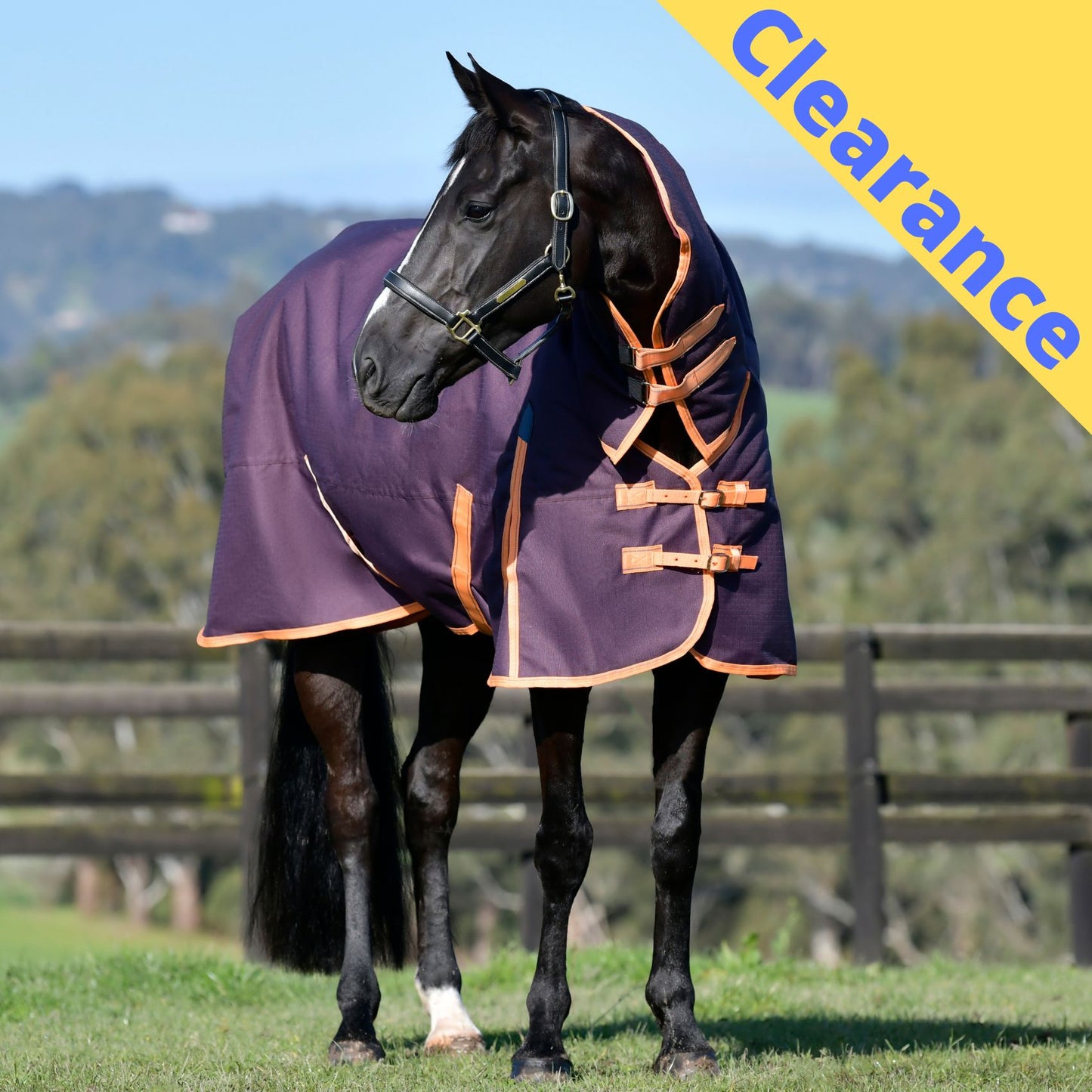 Weatherbeeta ComFiTec Essential Combo Medium Clearance Colours