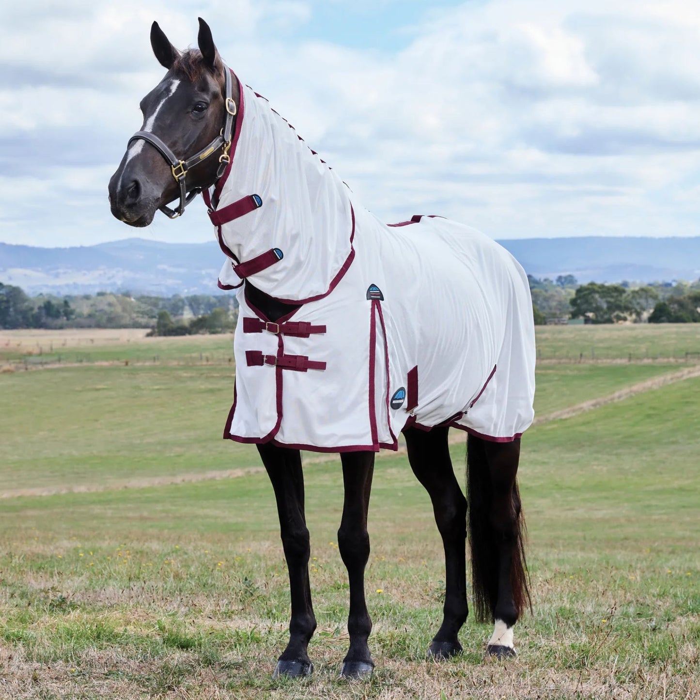 Weatherbeeta ComFiTec Essential Fly Sheet Combo White/Burgundy