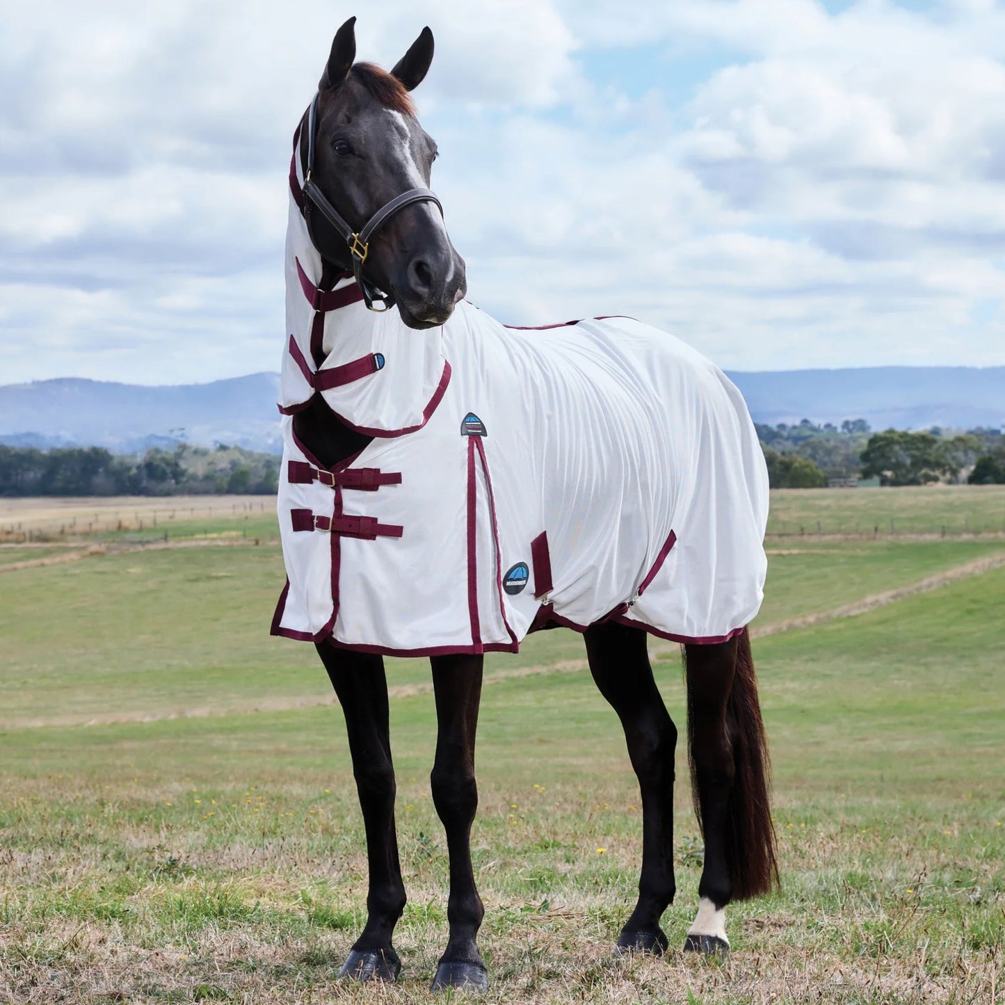 Weatherbeeta ComFiTec Essential Fly Sheet Combo White/Burgundy