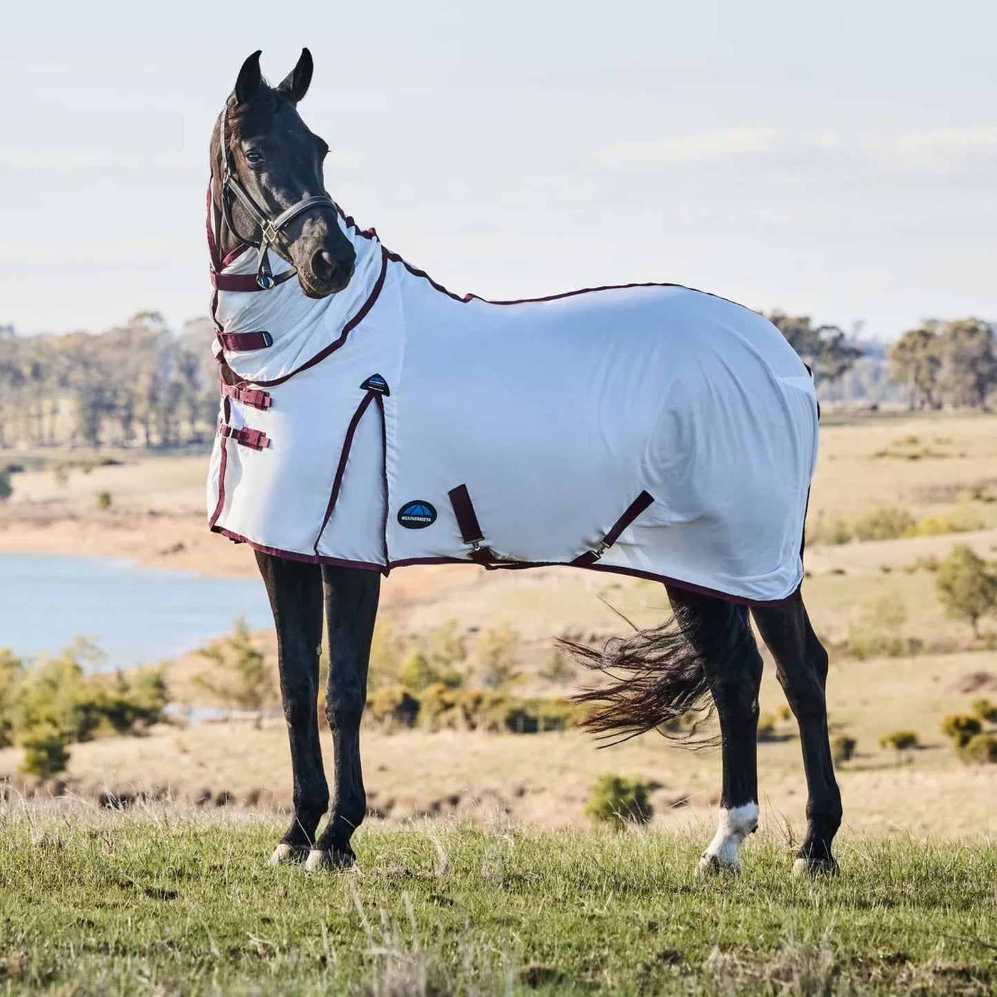 Weatherbeeta ComFiTec Essential Fly Sheet Combo White/Burgundy