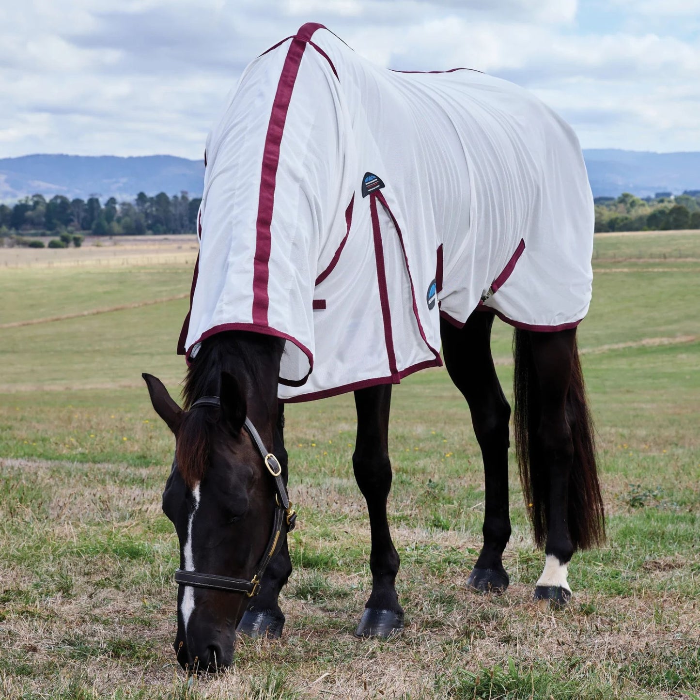 Weatherbeeta ComFiTec Essential Fly Sheet Combo White/Burgundy