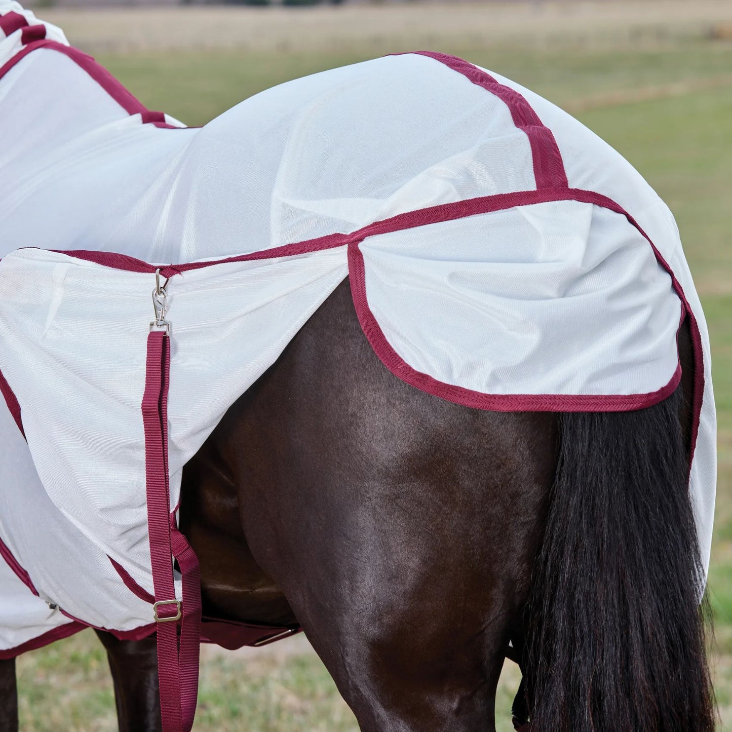 Weatherbeeta ComFiTec Essential Fly Sheet Combo White/Burgundy