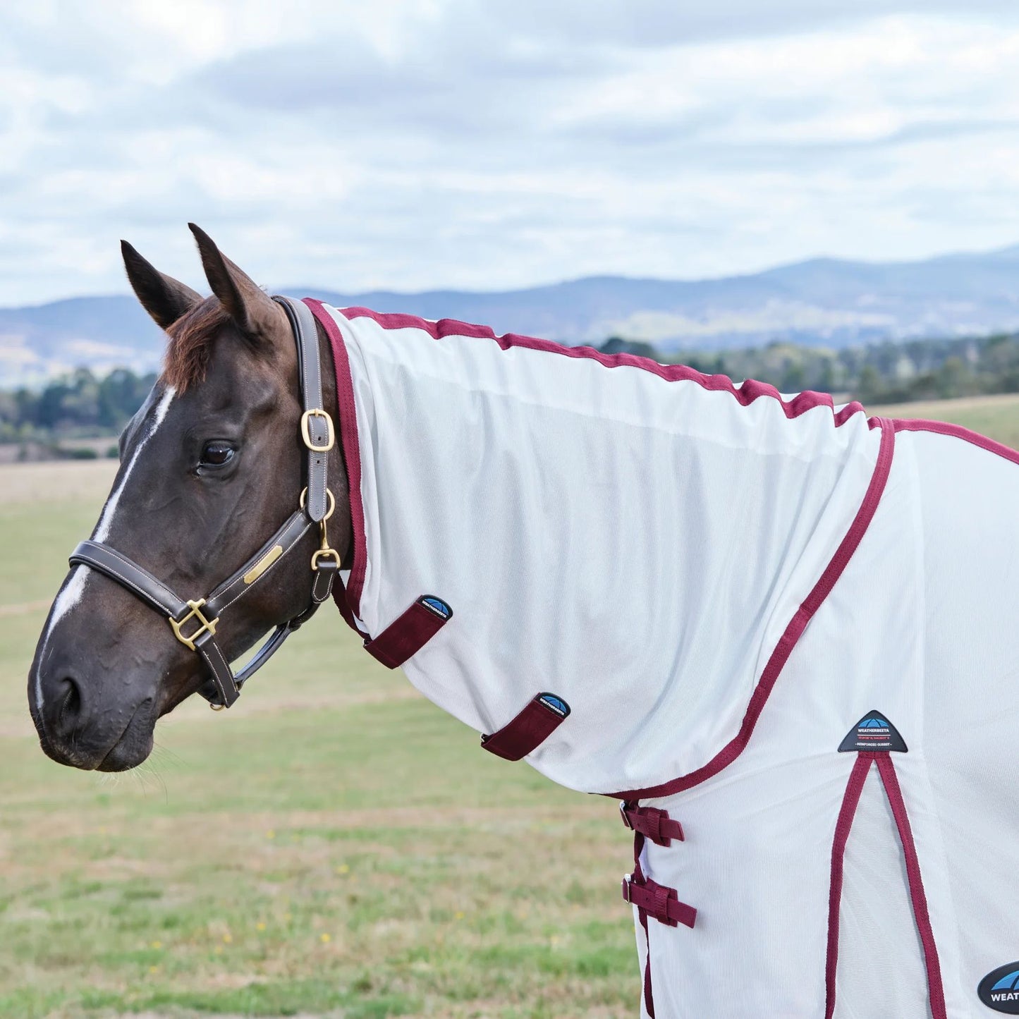 Weatherbeeta ComFiTec Essential Fly Sheet Combo White/Burgundy