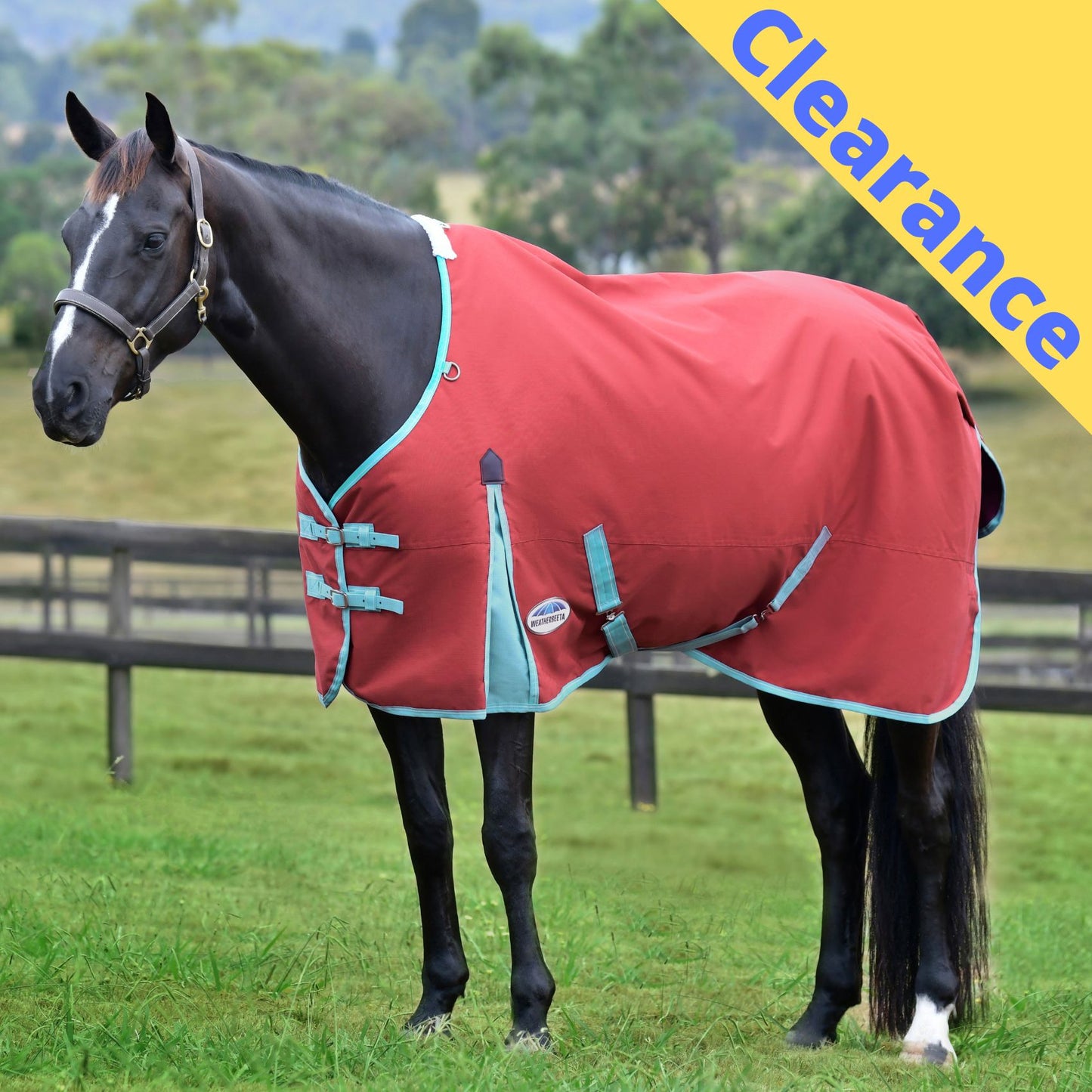 Weatherbeeta ComFiTec Essential Standard Lite Plus 50g