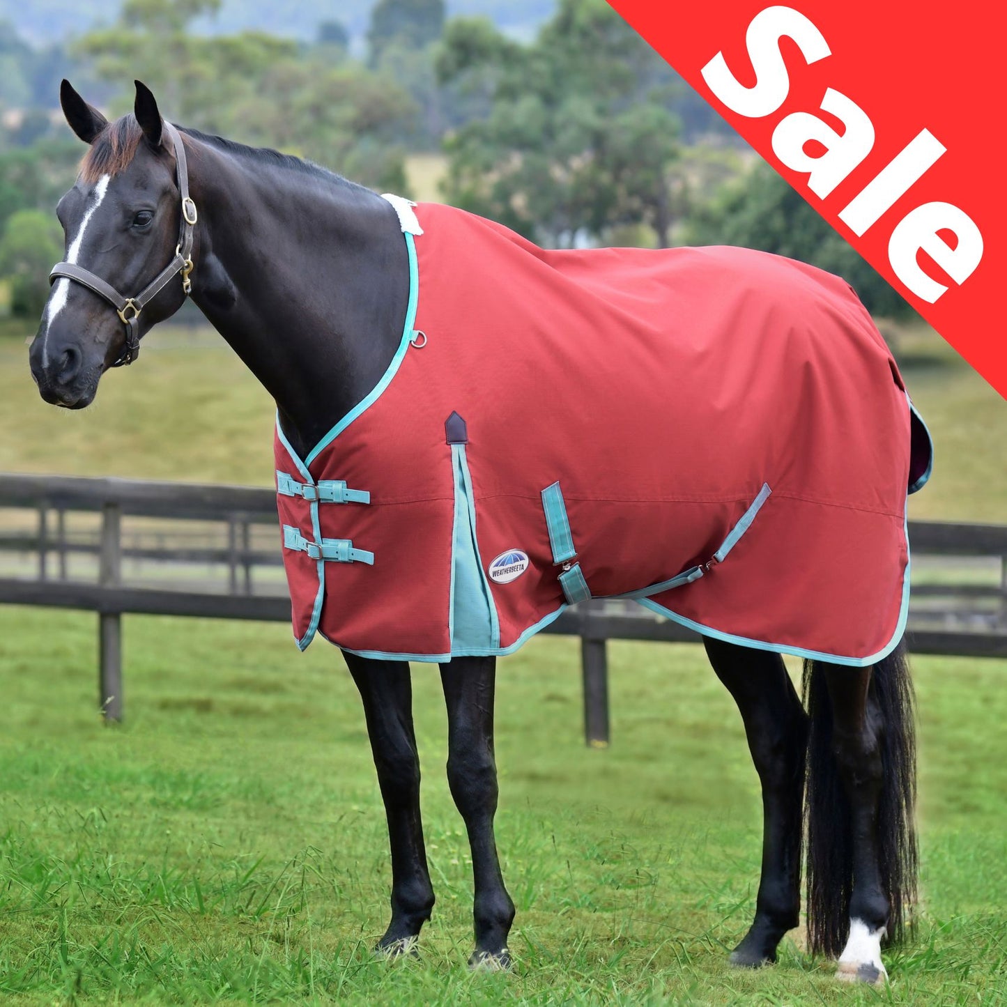 Weatherbeeta ComFiTec Essential Standard Lite Plus 50g Red/Blue/Beige