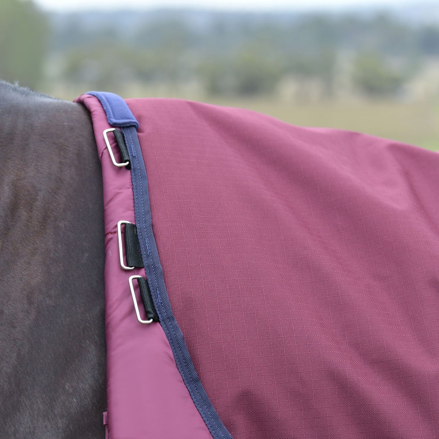 Weatherbeeta ComFiTec Essential Turnout 0g