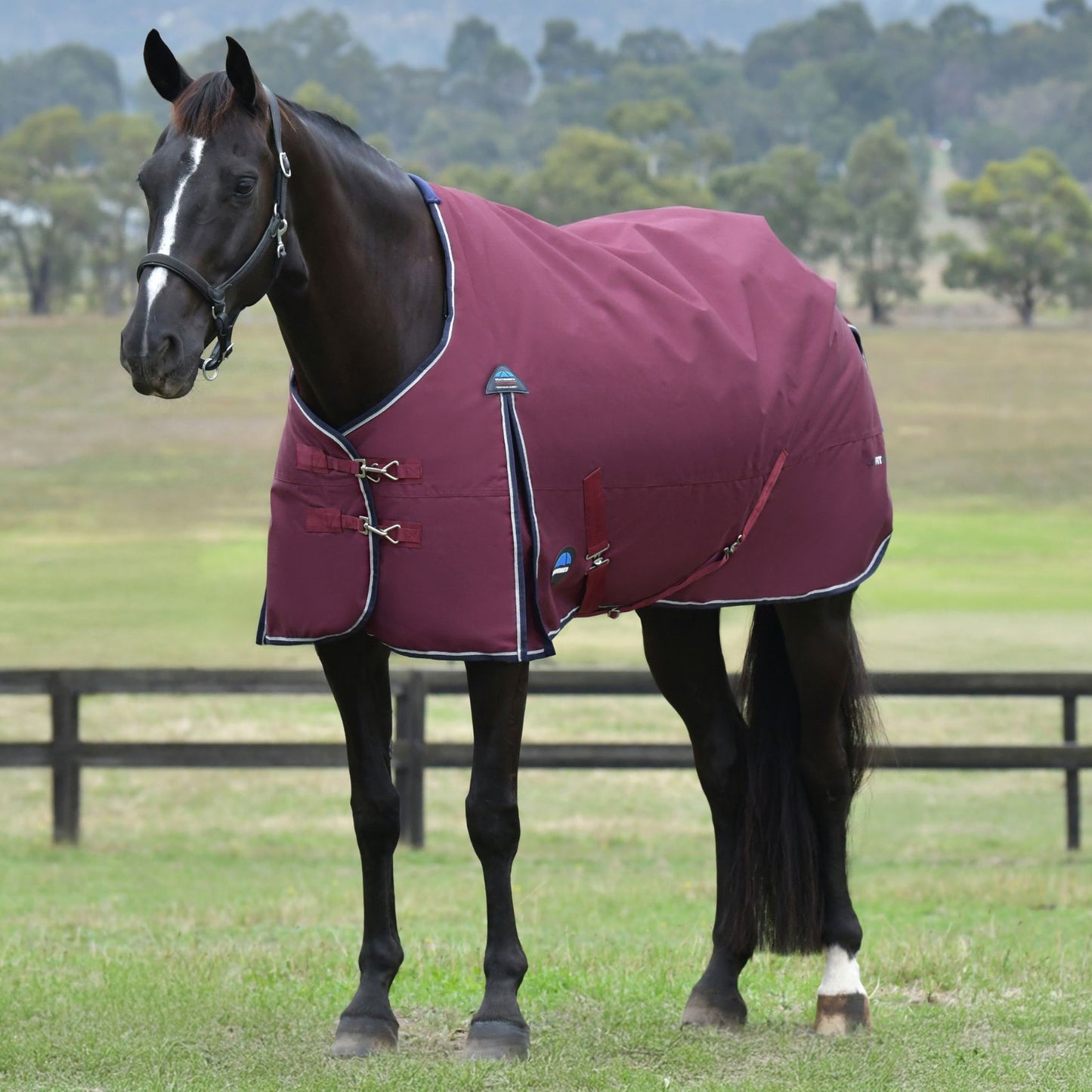 Weatherbeeta ComFiTec Essential Turnout 0g