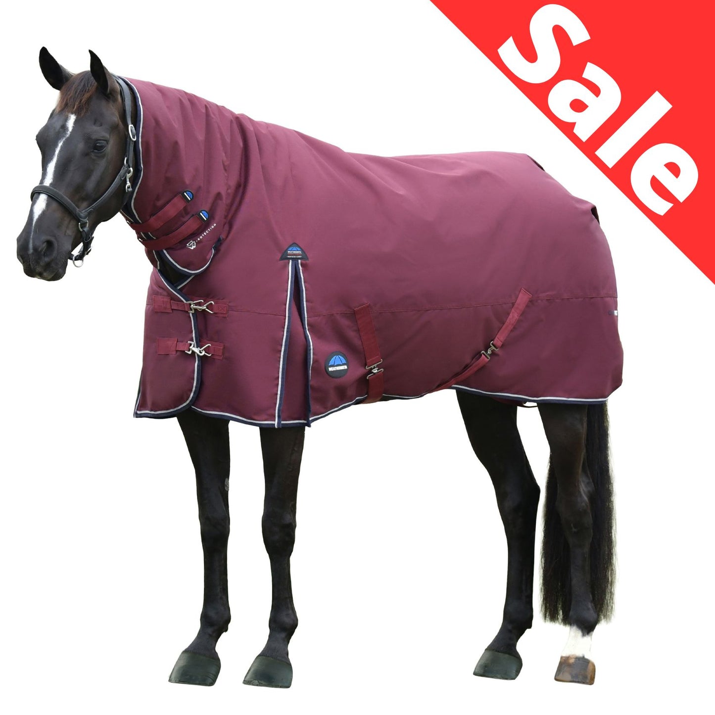 Weatherbeeta ComFiTec Essential Turnout Combo 50g