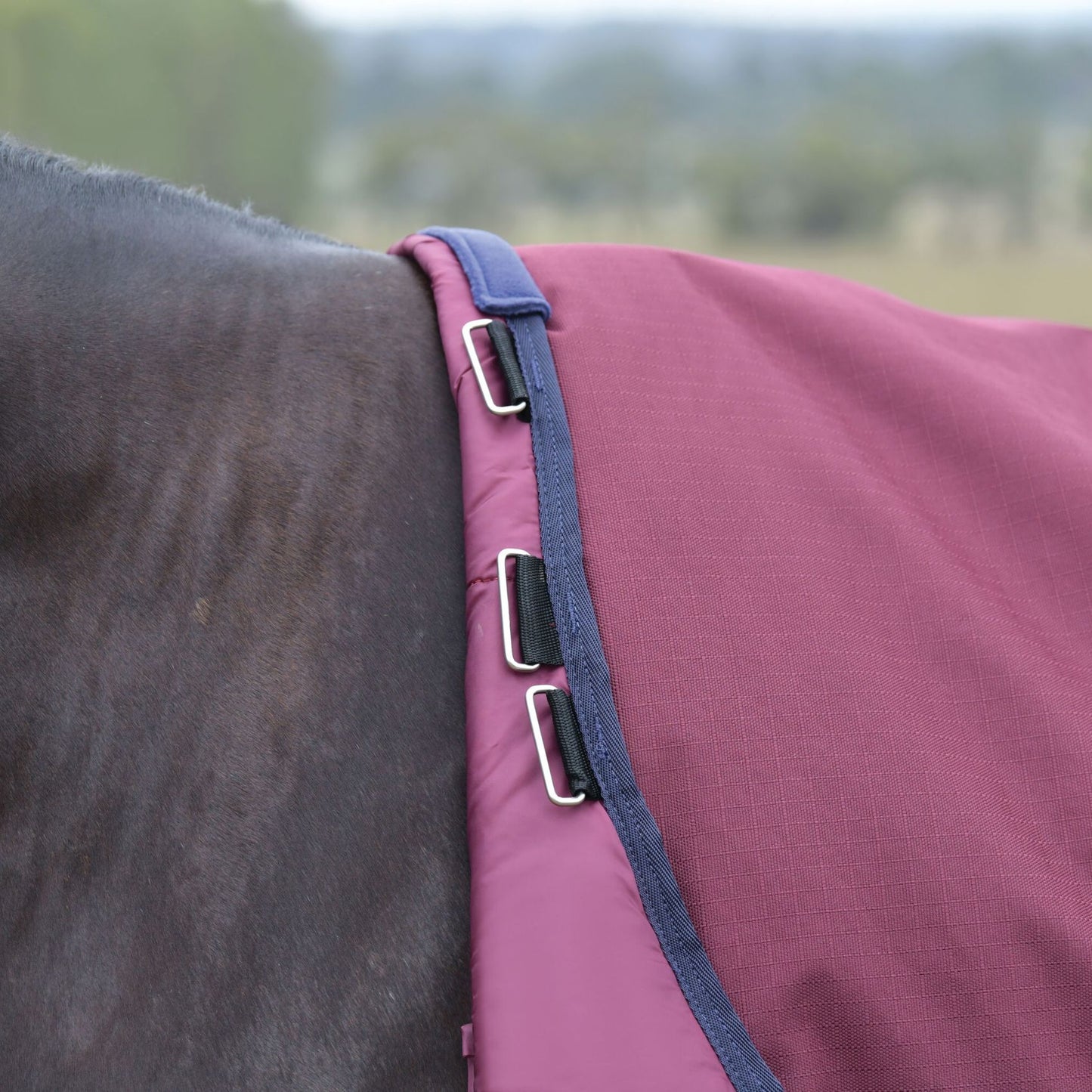 Weatherbeeta ComFiTec Essential Turnout Detach-A-Neck 220g Burgundy/Navy