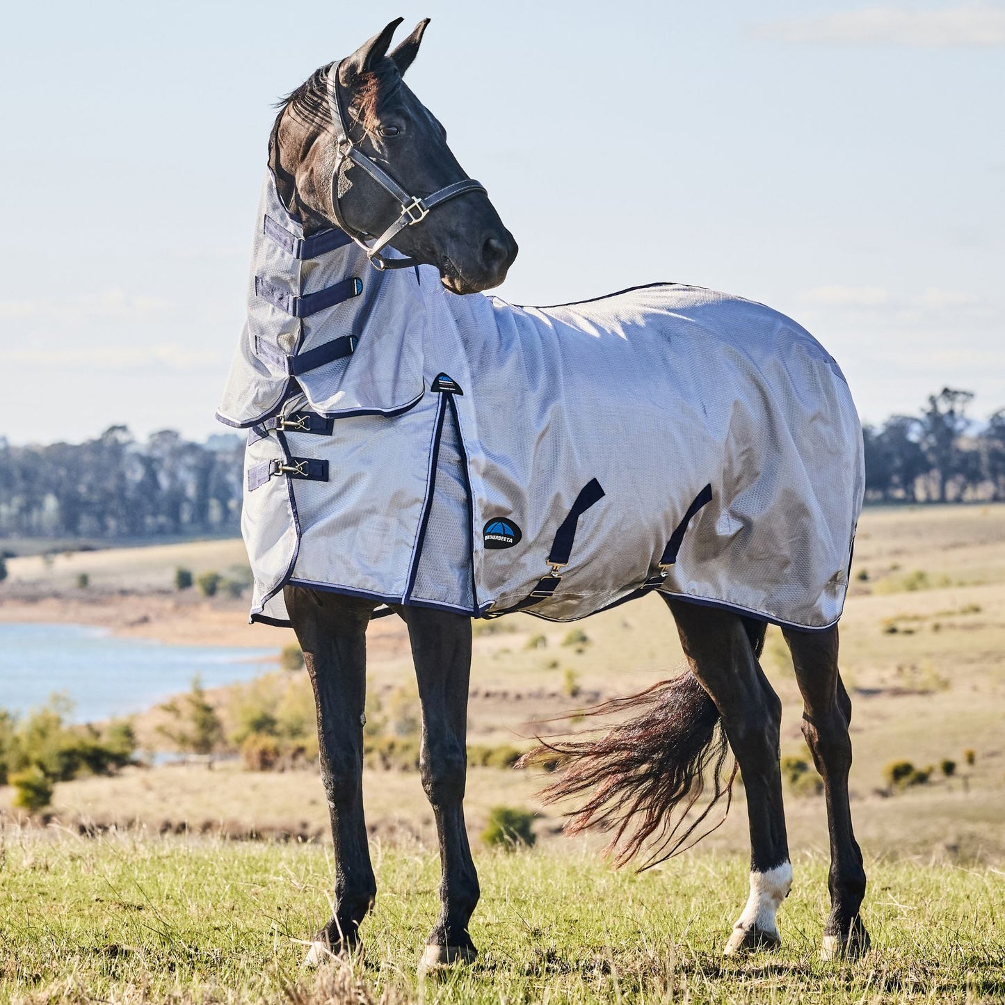 Weatherbeeta ComFiTec Hexi Shield Fly Sheet Combo Silver/Navy/White