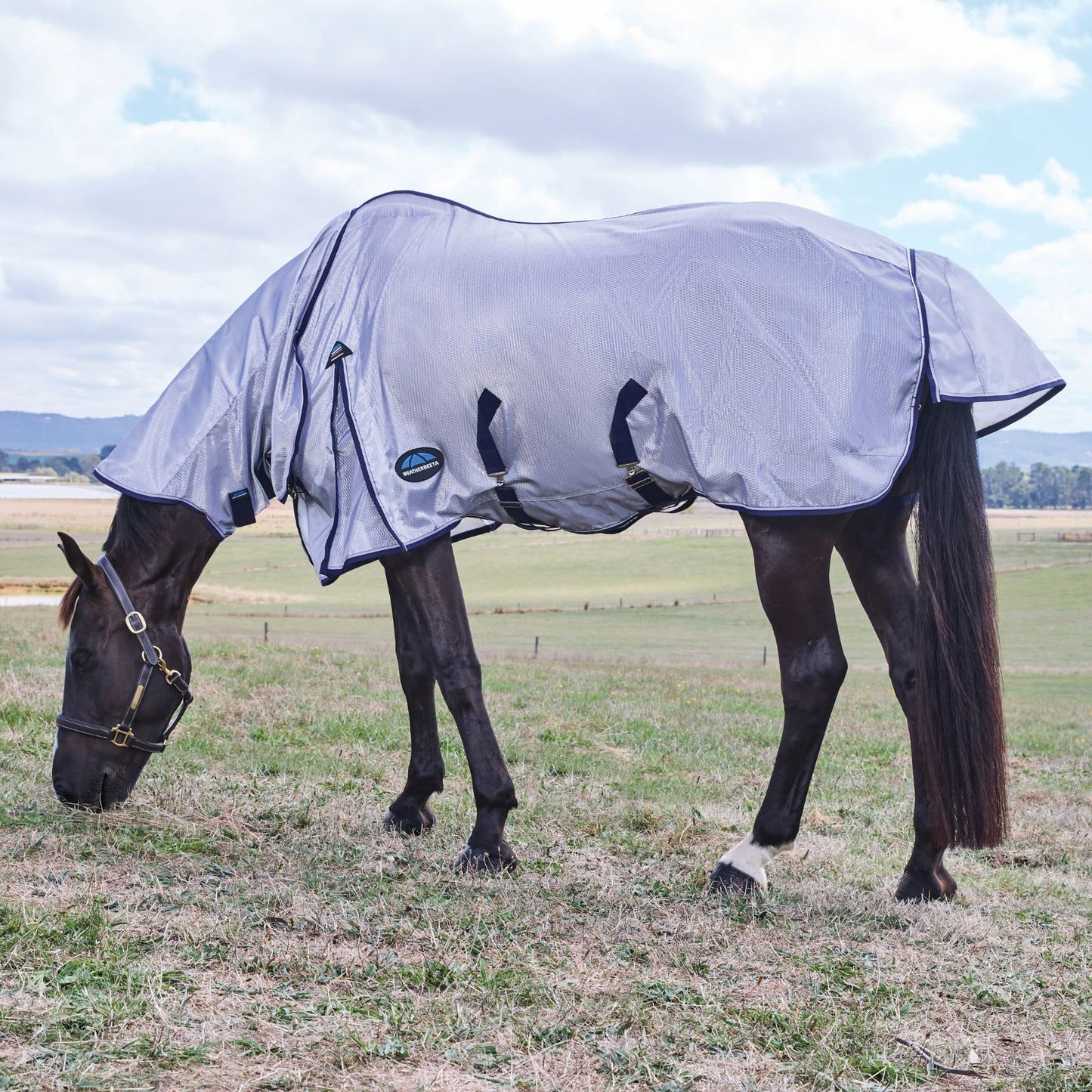 Weatherbeeta ComFiTec Hexi Shield Fly Sheet Combo Silver/Navy/White
