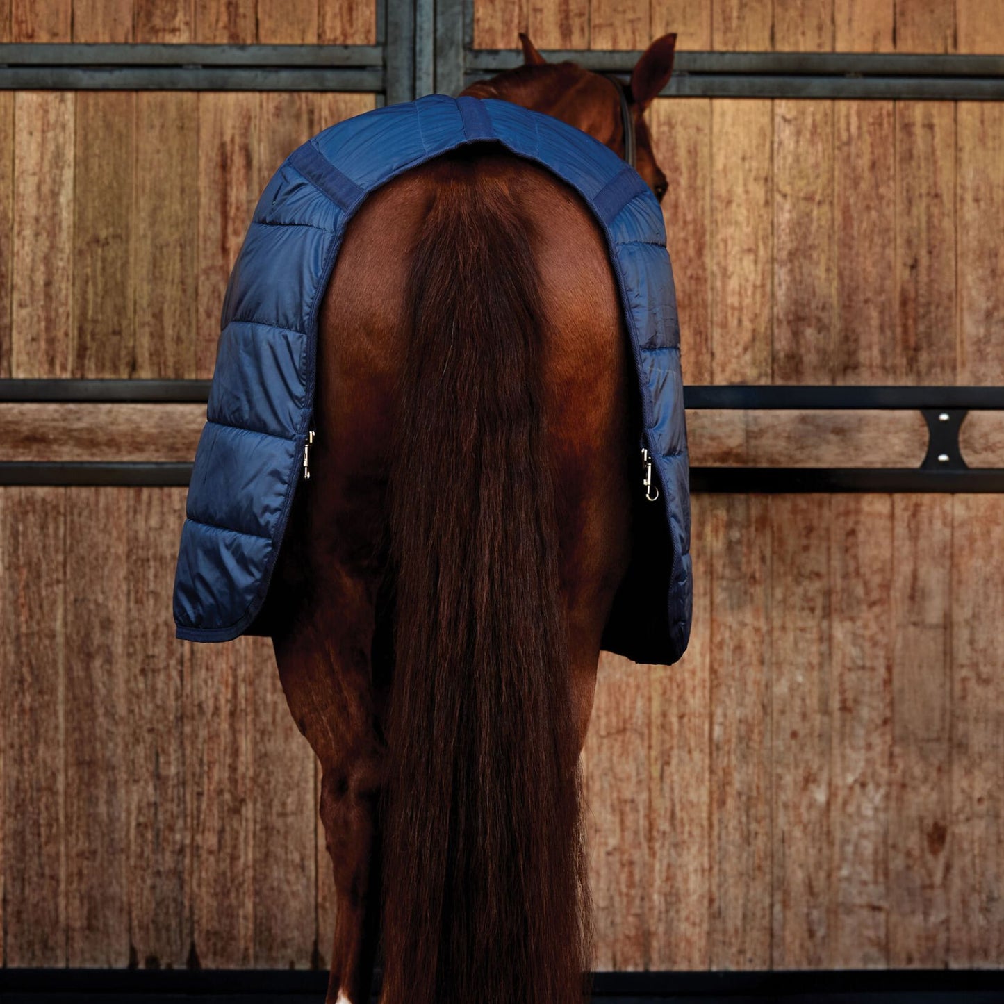 Weatherbeeta ComFiTec Liner 200g Navy