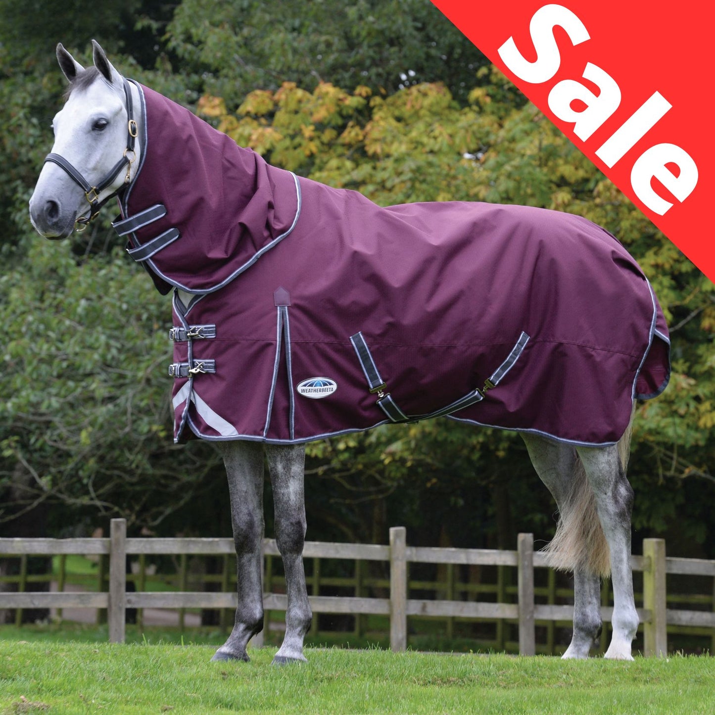 Weatherbeeta ComFiTec Plus Dynamic II Detach-A-Neck Medium/Lite 100g Maroon/Grey/White