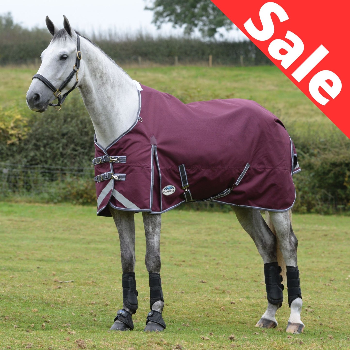 Weatherbeeta ComFiTec Plus Dynamic II Standard Medium/Lite 100g Maroon/Grey/White