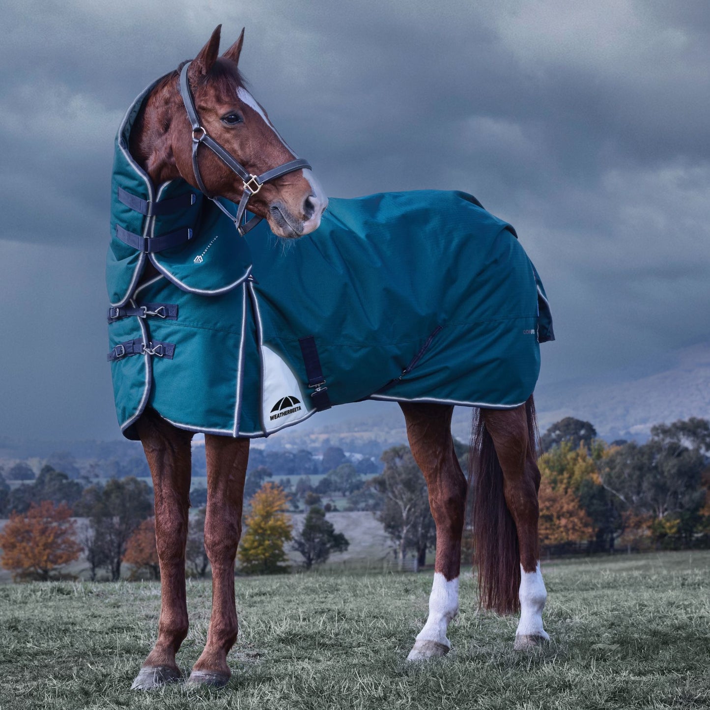 Weatherbeeta ComFiTec Plus Dynamic Turnout Detach-A-Neck 220g Forest Green/Navy