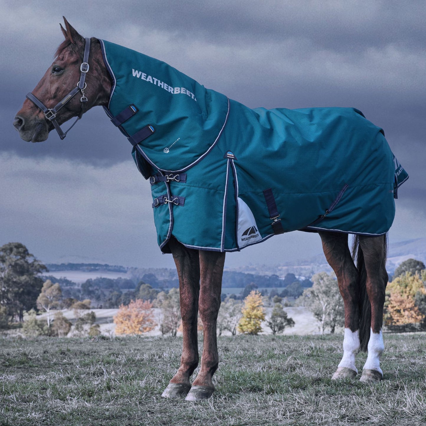 Weatherbeeta ComFiTec Plus Dynamic Turnout Detach-A-Neck 220g Forest Green/Navy