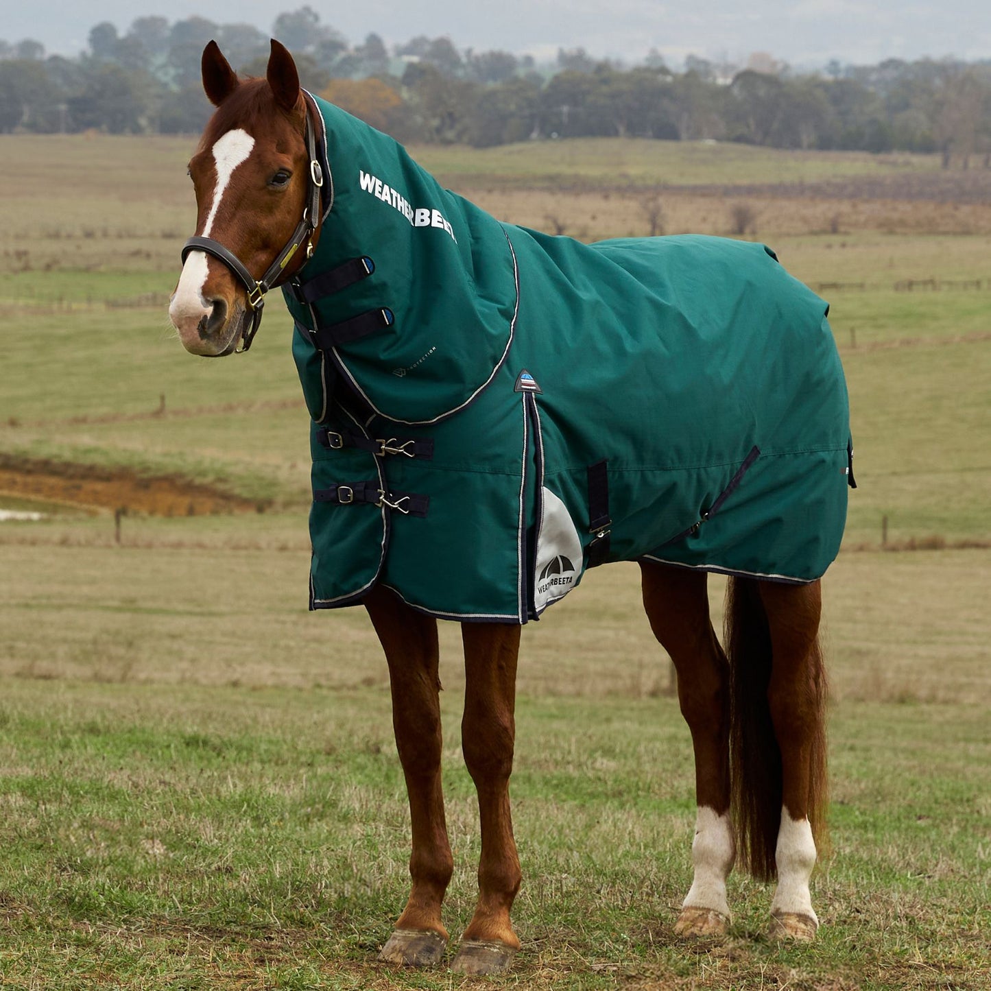 Weatherbeeta ComFiTec Plus Dynamic Turnout Detach-A-Neck 220g Forest Green/Navy