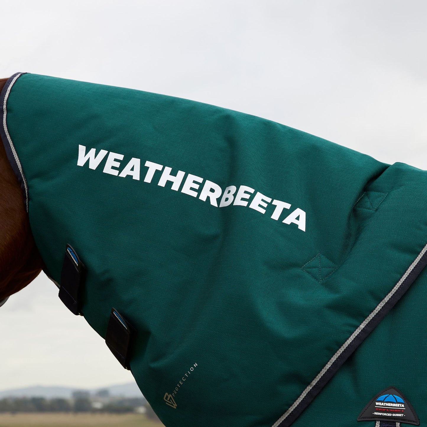 Weatherbeeta ComFiTec Plus Dynamic Turnout Detach-A-Neck 220g Forest Green/Navy